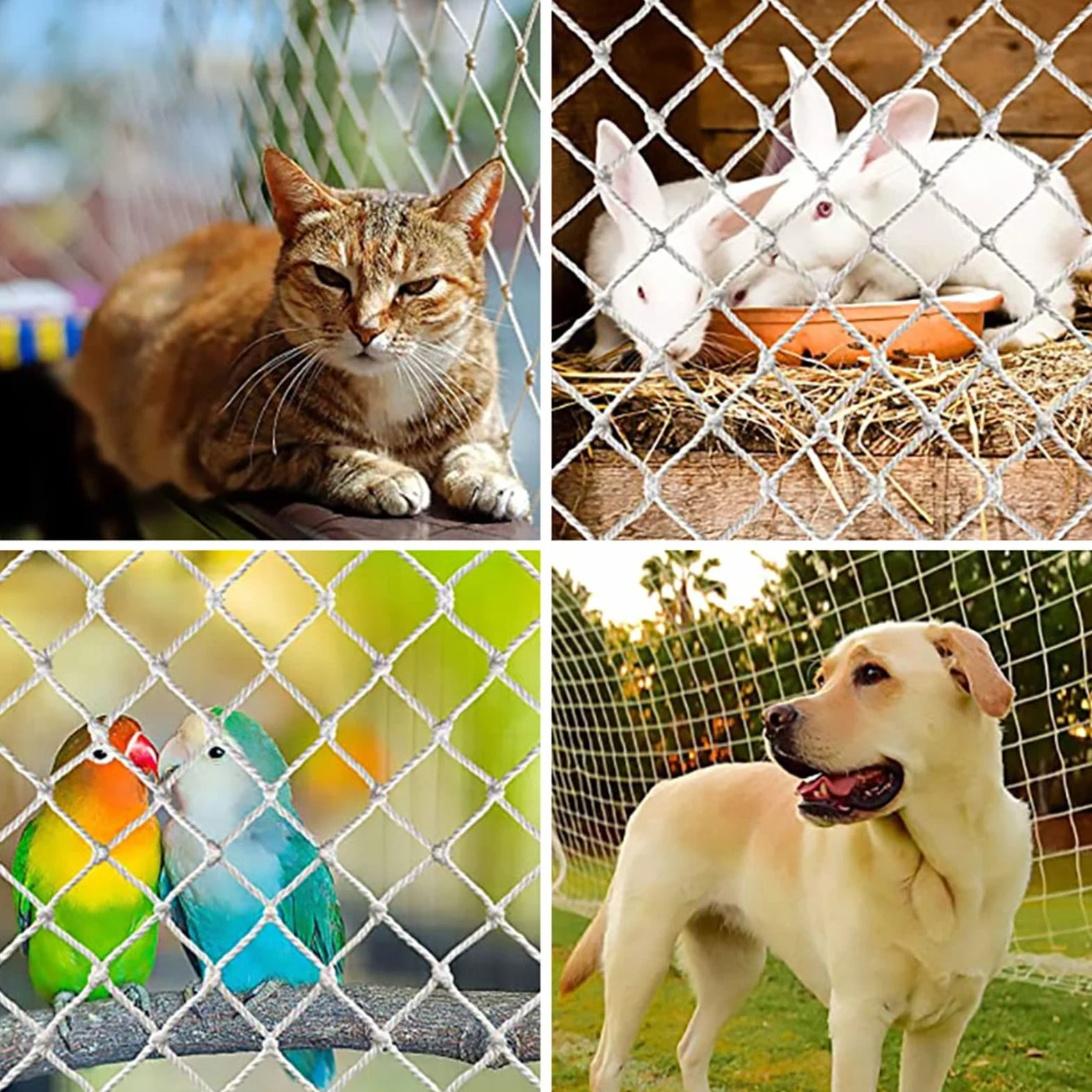 Rete Di Sicurezza Per Gatti, Animale Domestico Anti Caduta Rete Protettiva, Reti Di Protezione In Nylon, Giardino Pianta Maglia Rampicante Per Esterno, Decorazione, Finestra, Personalizzabile CHINLIFE