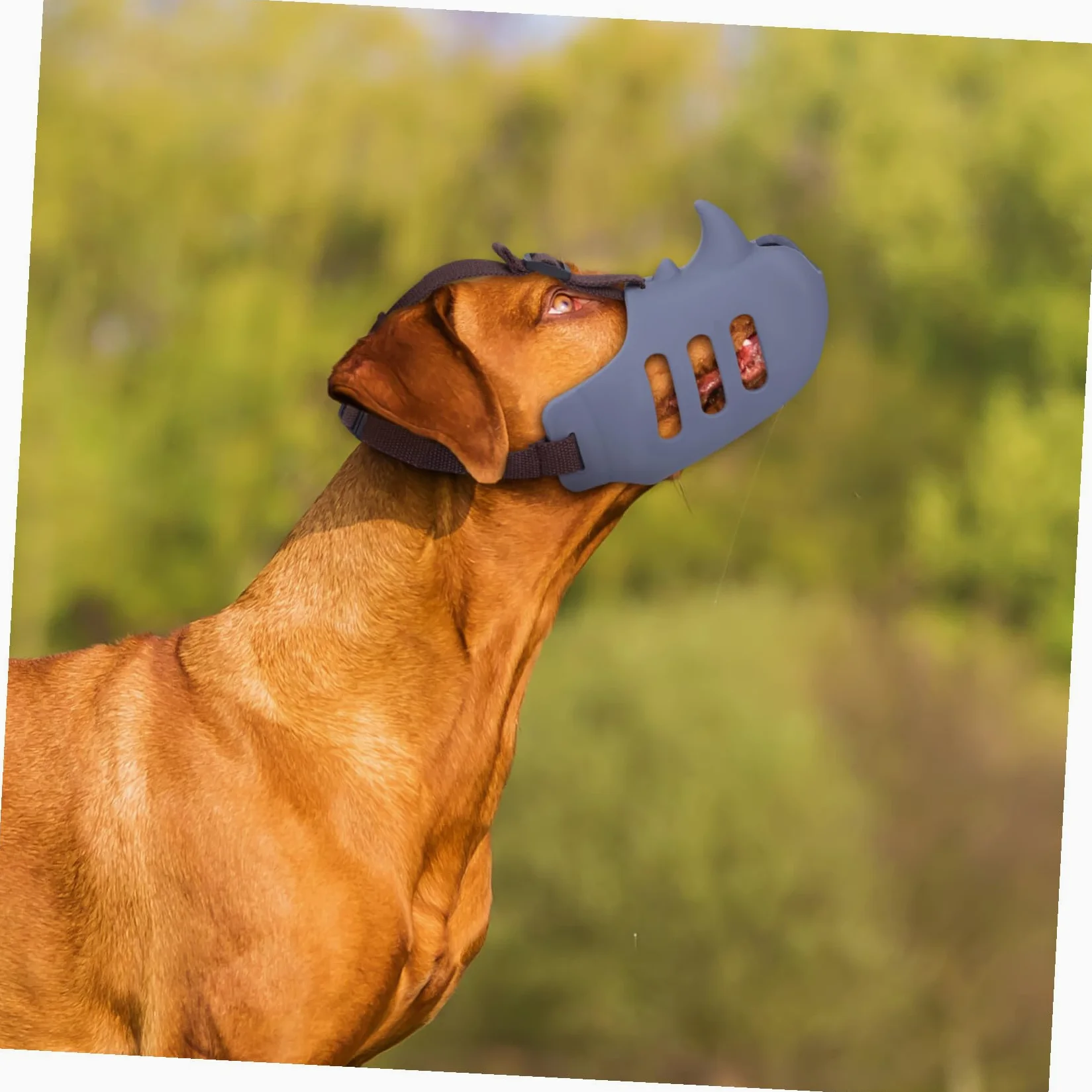 Museruola per Cani Regolabile Anti Morso 3 Pezzi in Silicone | Cani, Confezione Tripla, Riduce L’abbaio, Vestibilità Confortevole, per Toelettatura e Uso Prolungato
