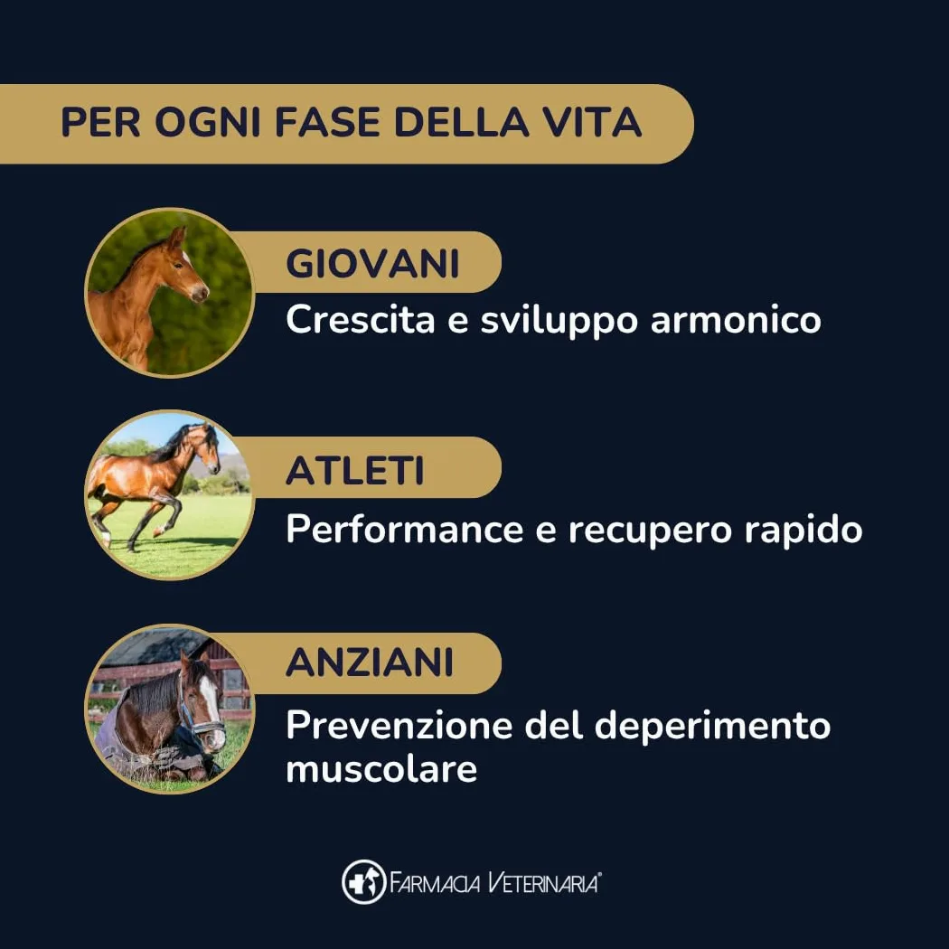 Equiforza Total Integratore in Polvere per Cavalli con BCAA, L-Carnitina, Gamma Orizanolo e Spirulina, Sviluppo Muscolare, Energia e Recupero, 1,5 kg
