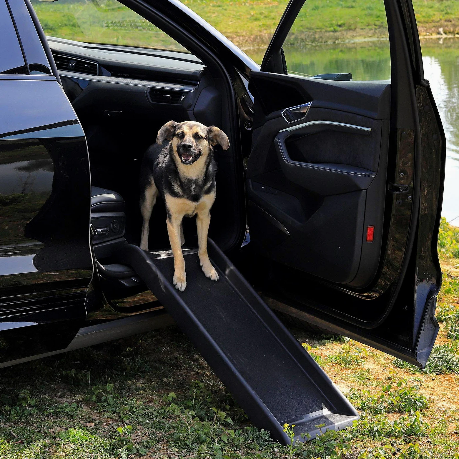 lionto Rampa per Cani Gradini per Cani Rampa per Auto Rampa per Bagagliaio per Animali domestici robusta 100x38 cm Nero