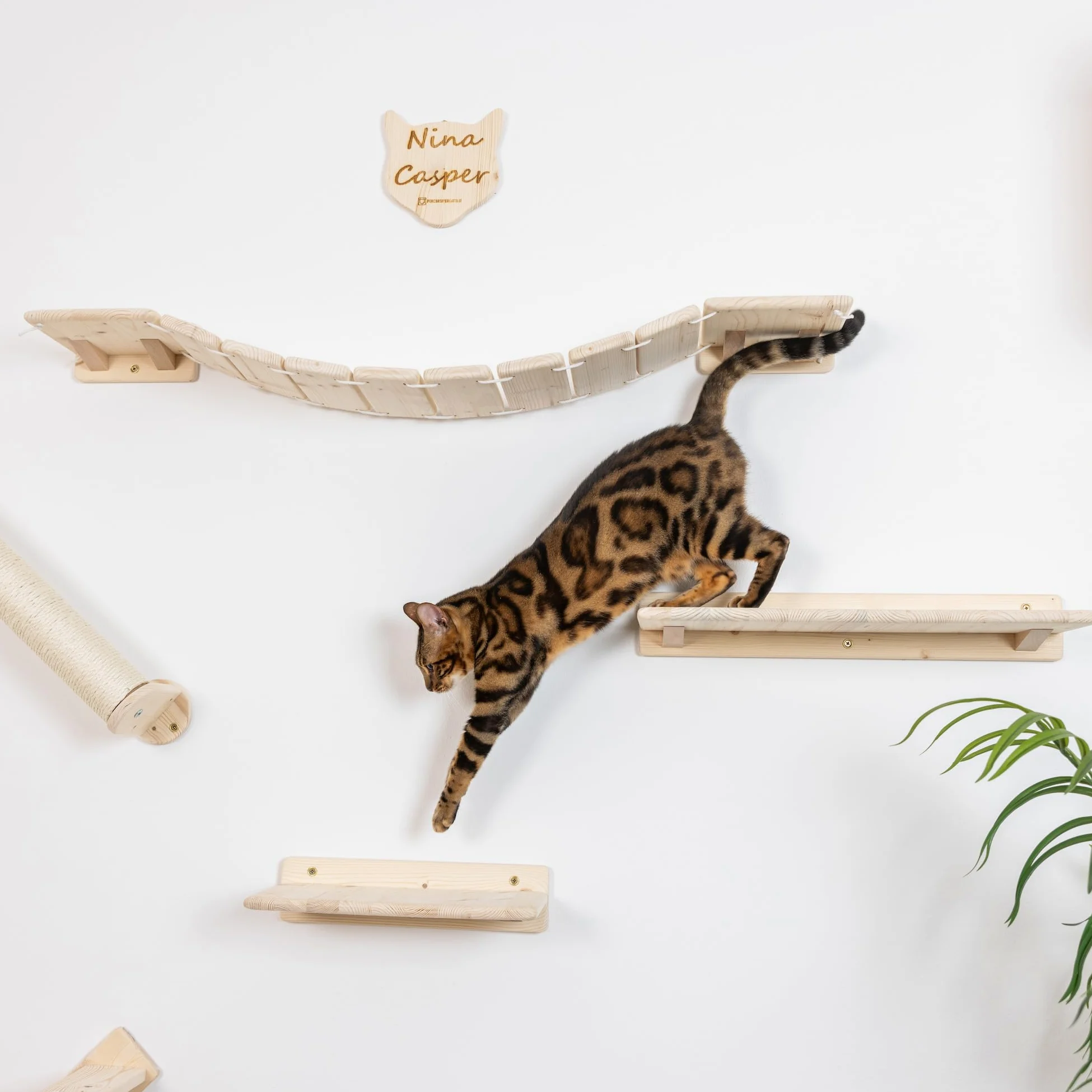 Mensole per Gatti da Parete in Legno d'Abete PEFC Artigianali, Mensola Gatto 40 cm, per Arrampicata e Percorso da Muro per Gatti con Resistenza Fino a 20 kg – Percorsipergatti