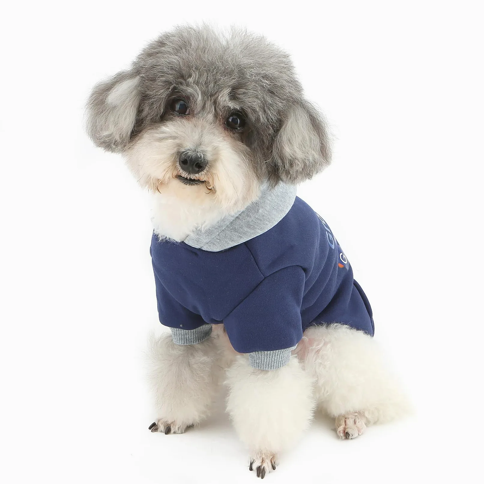 XHYRHTS Felpa con cappuccio in pile per cani con stampa simpatico cartone animato per razze Xsmall piccole, calda felpa pullover colorblock con anello a D, morbido abito invernale per cuccioli gattini