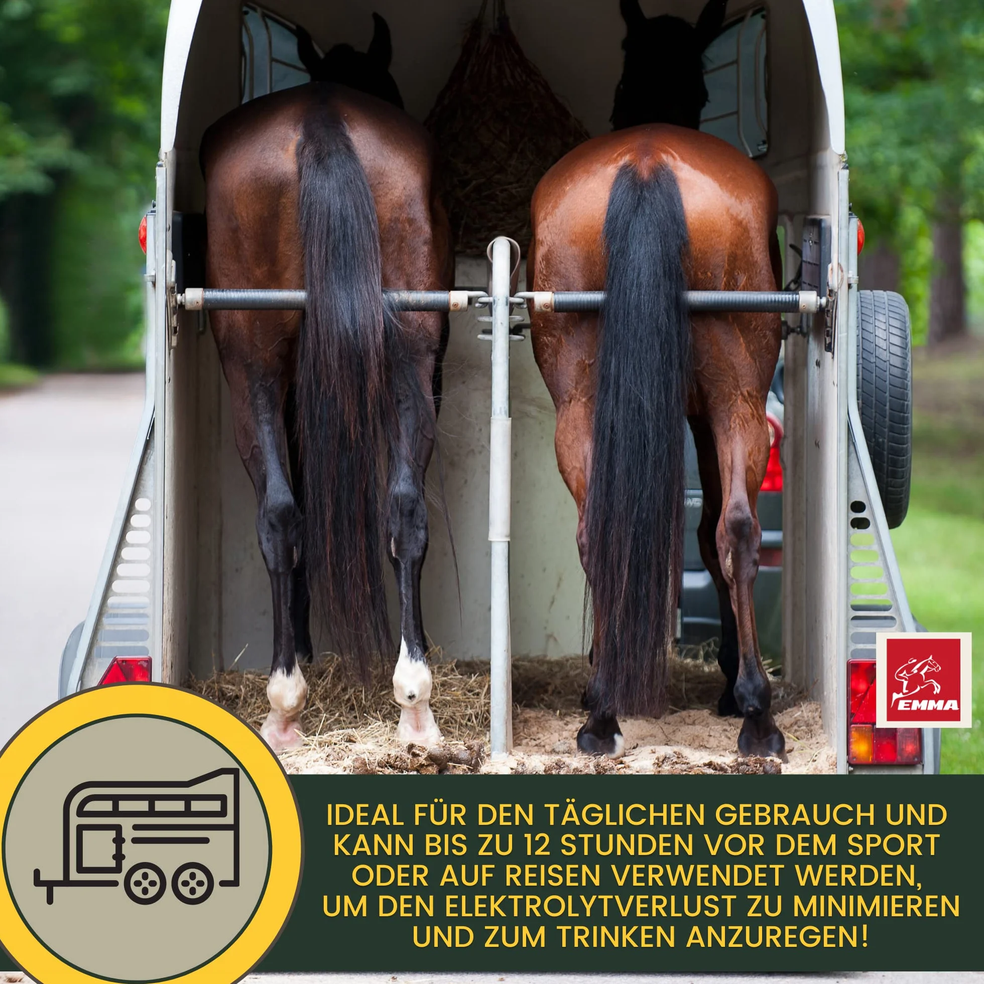 Elettroliti Cavallo - Pasta vitaminica per cavalli I Complesso vitaminico b Cavallo I Elettroliti Sodio Potassio Magnesio I Alimenti minerali Cavalli dopo la diarrea Vomito Acqua Sali minerali 3p.
