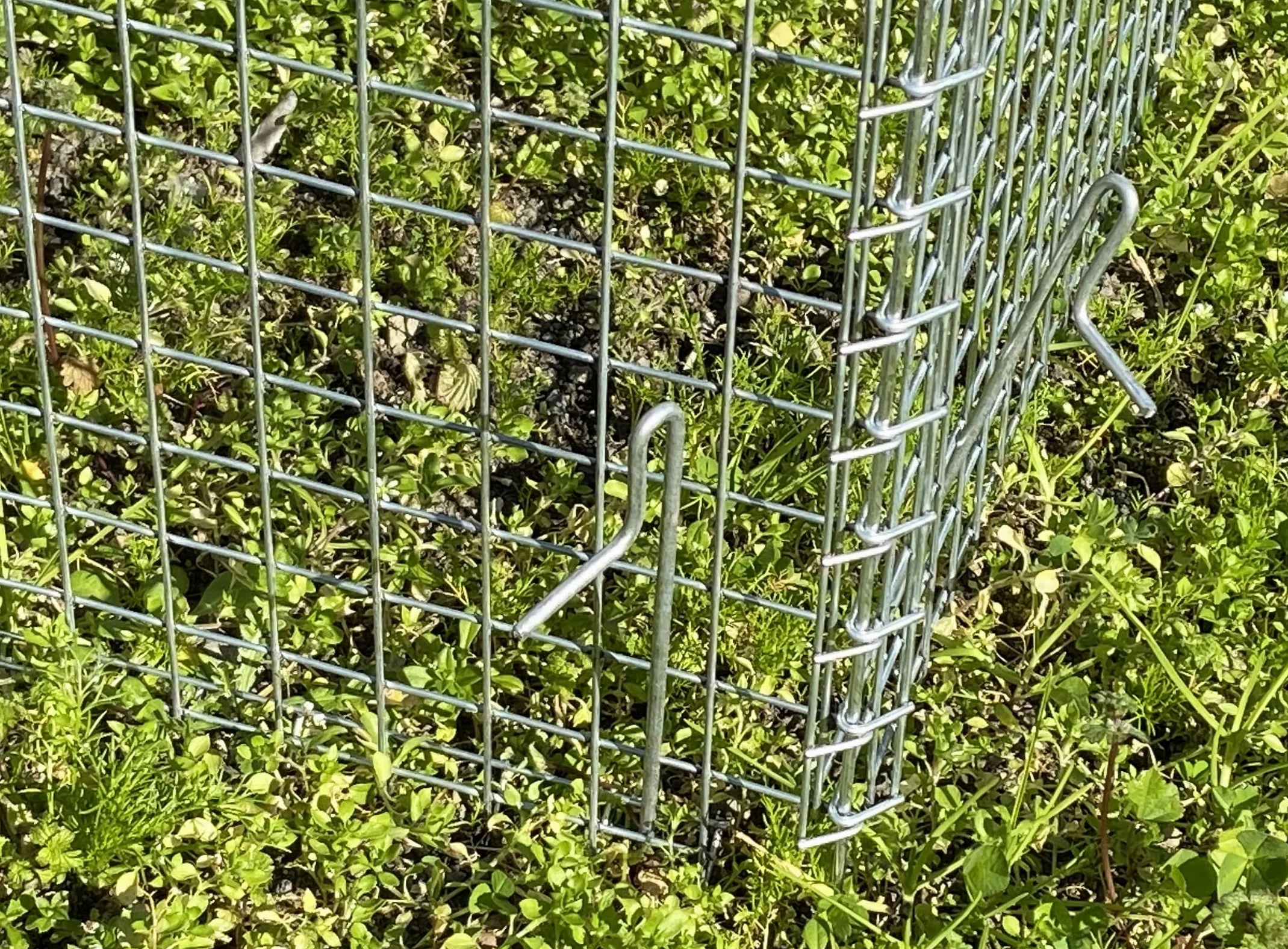 Montidistribuzione Recinto per Galline e altri animali