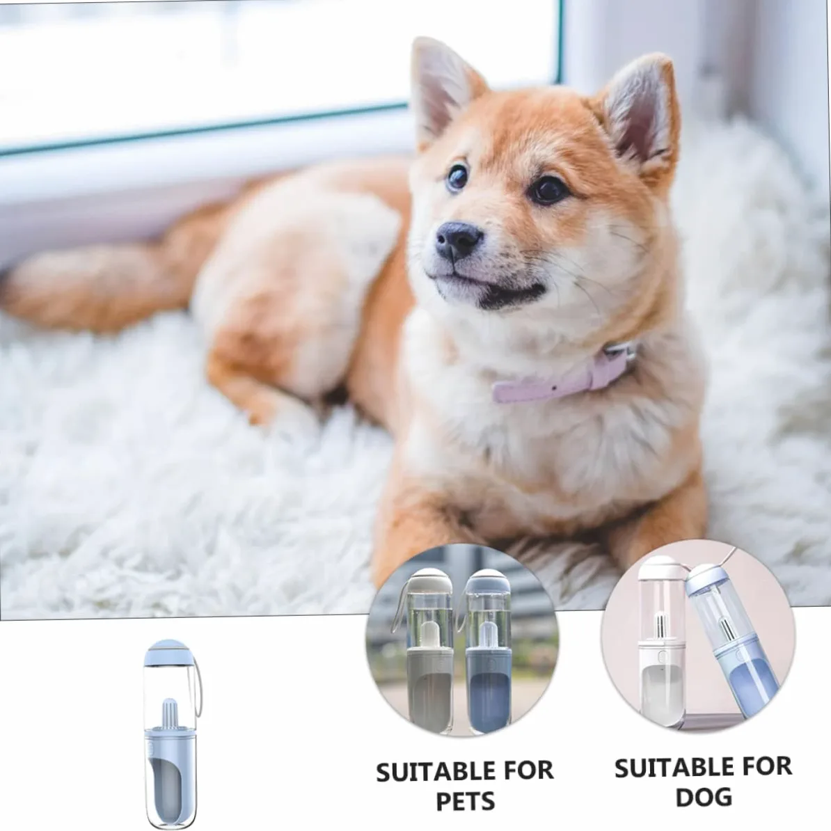 Borraccia Portatile per Cani e Animali Domestici 330ml, Apertura Ampia, di Perdite, per Uscire