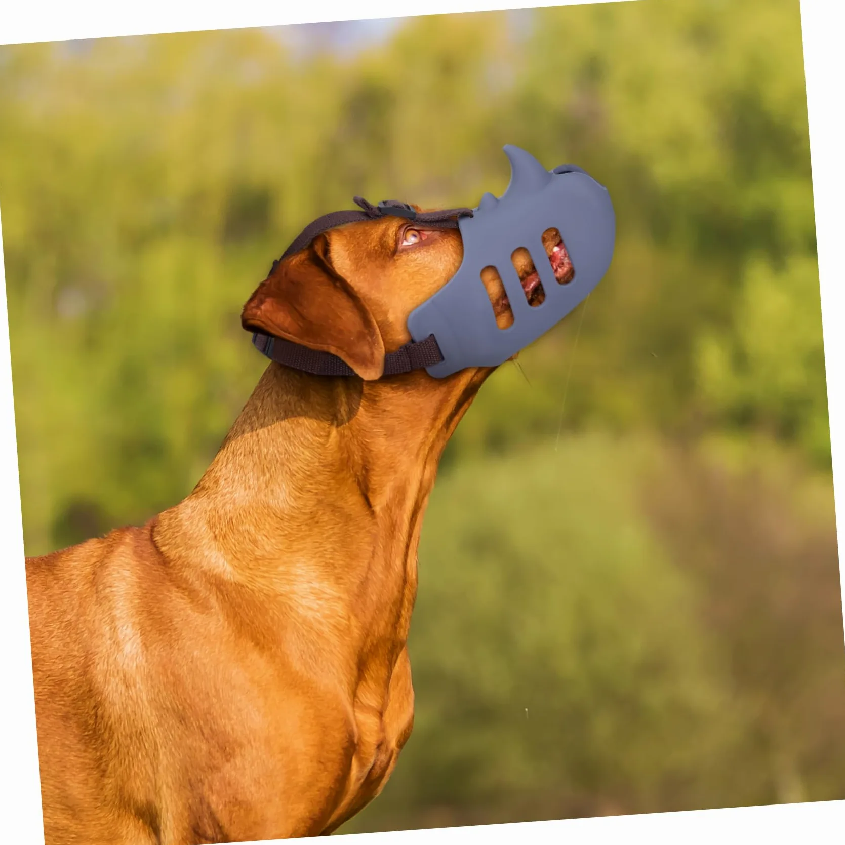 BESPORTBLE Museruola per Cani in Silicone Morbido 3 Pezzi, Regolabile e Confortevole, Adatta per Cani Medi e Grandi, per Prevenire Morsi e Grooming