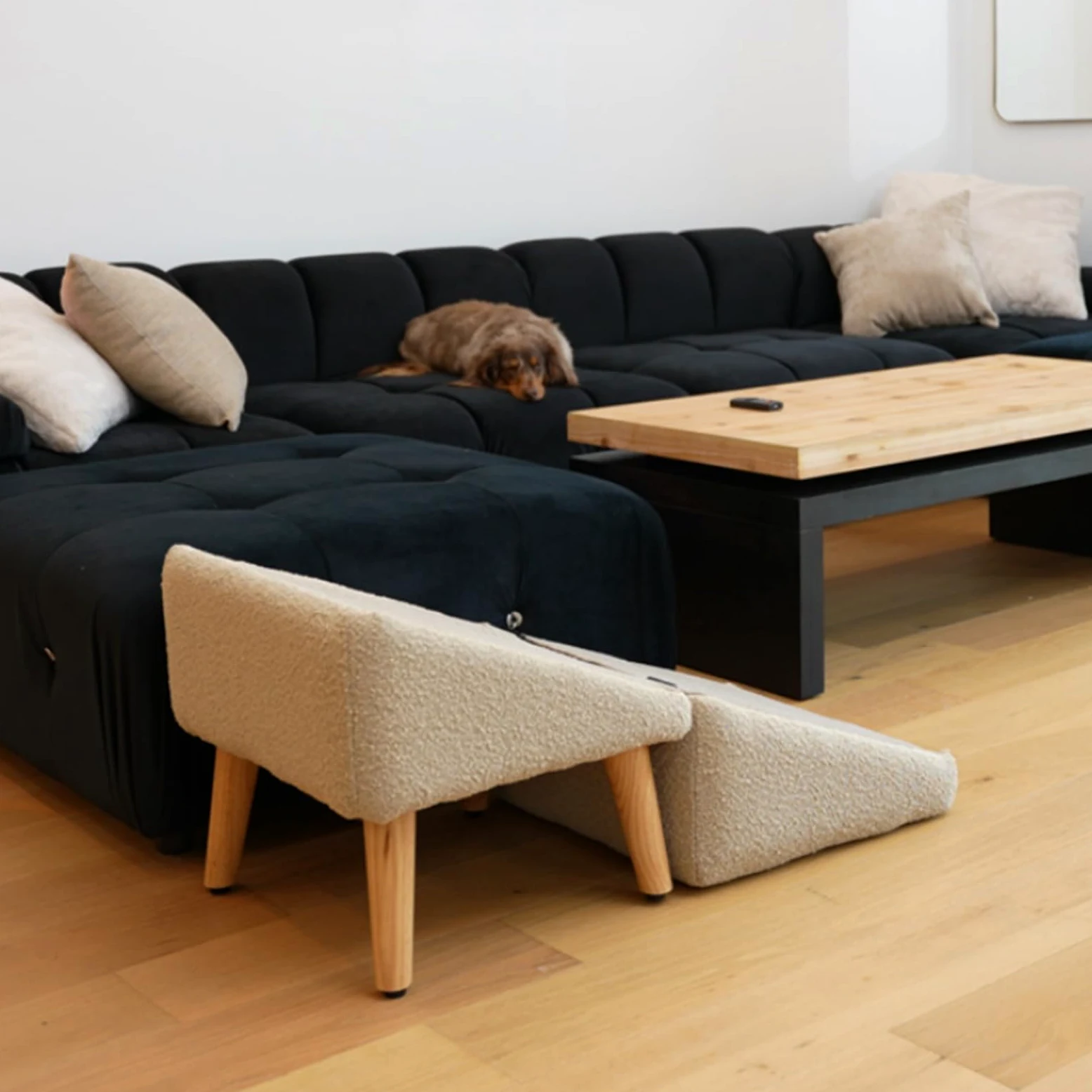 Generico Rampa Antiscivolo per Cani, Divano Letto Pieghevole per Auto, Scale per Cani di Piccola Taglia, Scale per Animali Domestici Leggere, per Letto a Soppalco E Divano,Nero