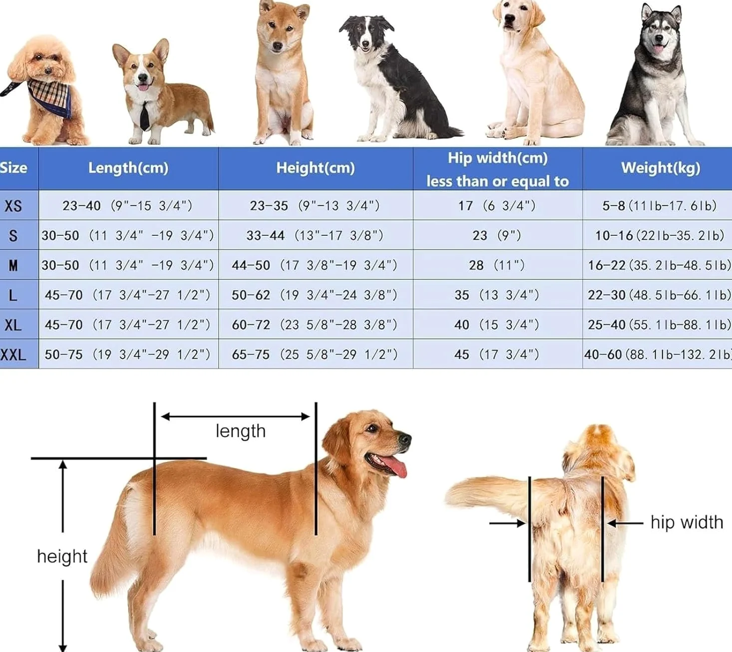 Carrello per La Mobilità del Cane, Cani Anziani Sedia A Rotelle,Supporto Regolabile per Animali Domestici con 4 Ruote per Cani Disabili,Carrozzina per Cani per Zampe Anteriori E Posteriori S
