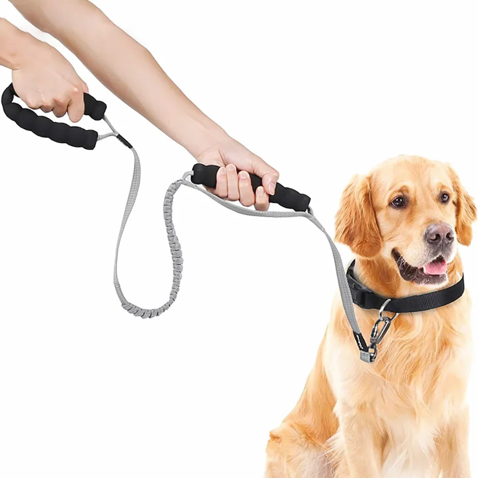 Guinzaglio per Cani Bungee, Guinzaglio per Animali Domestici Bungge Che Assorbe Gli Urti con 2 Maniglie di Controllo, Riflettente per Una Camminata Notturna più Sicura
