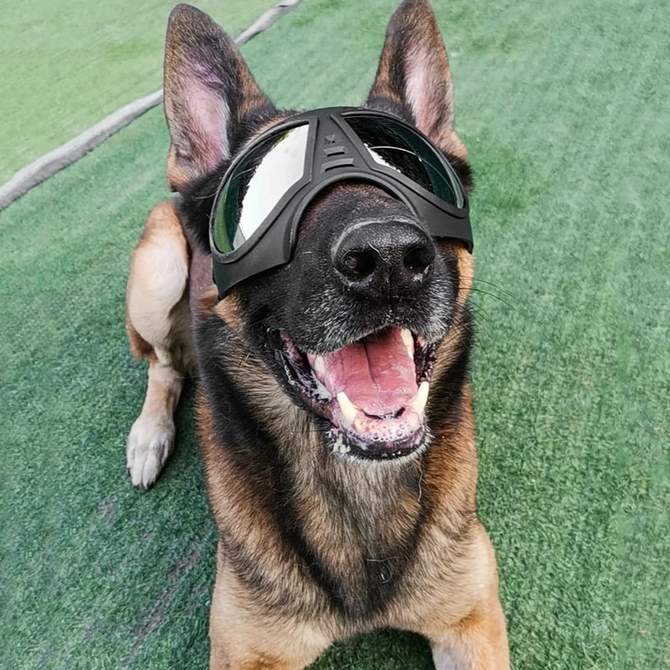 Sarini Occhiali per Cani Protezione UV Occhiali da Sole per Cani Occhiali protettivi Regolabili Antivento Impermeabili per Cani di Taglia Grande
