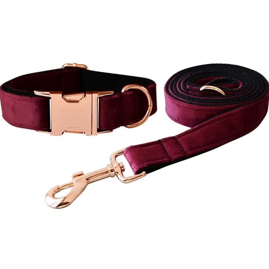 Morbido Guinzaglio Per Cani Collare Per Cani In Nylon Personalizzato Imbracatura Per Guinzaglio Borsa Per Cacca Set Collari Per Stampati Regolabili Per Animali Domestici Antiscivolo Flexi(37-60cm)