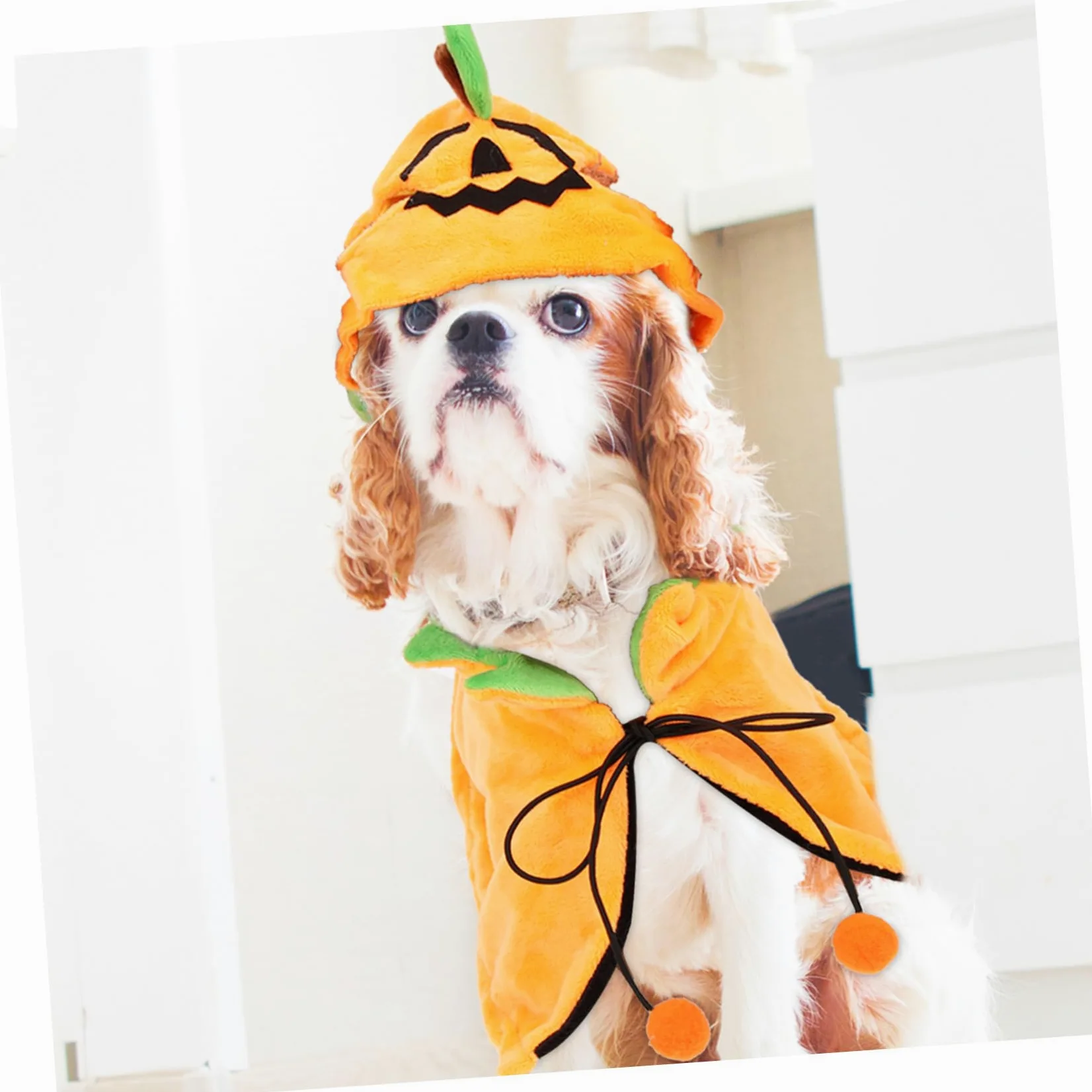 BESPORTBLE 3 Set Mantello Per Animali Domestici Mantello Di Halloween Per Animali Domestici Vestito Jack-o- Lanterna Per Costume Da Zucca Di Halloween Per Gatti Peluche