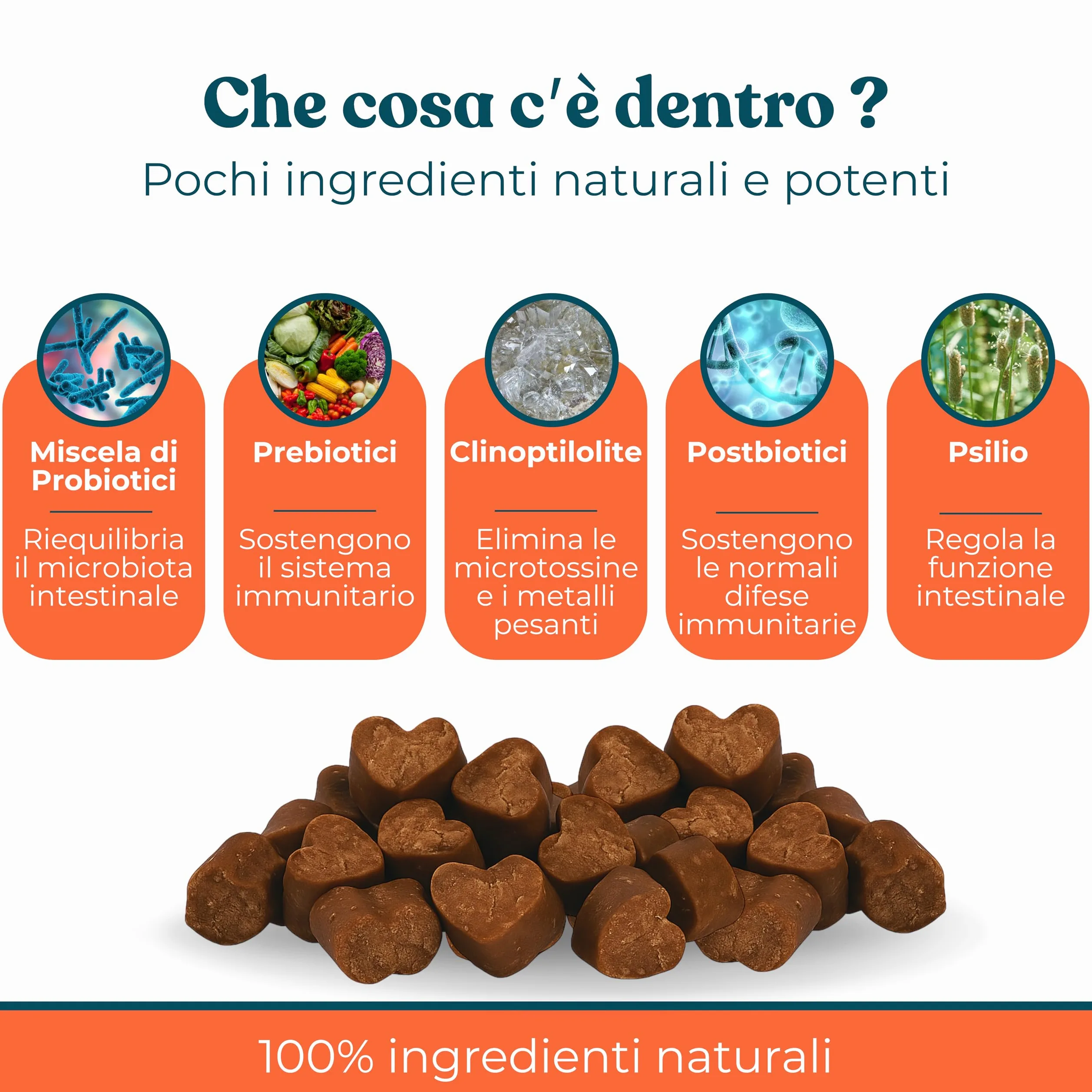 Probiotico per Cani Gusto Manzo - Integratori Probiotici per Cani per Intestino, Prurito e Sistema Immunitario (40 Bocconcini)