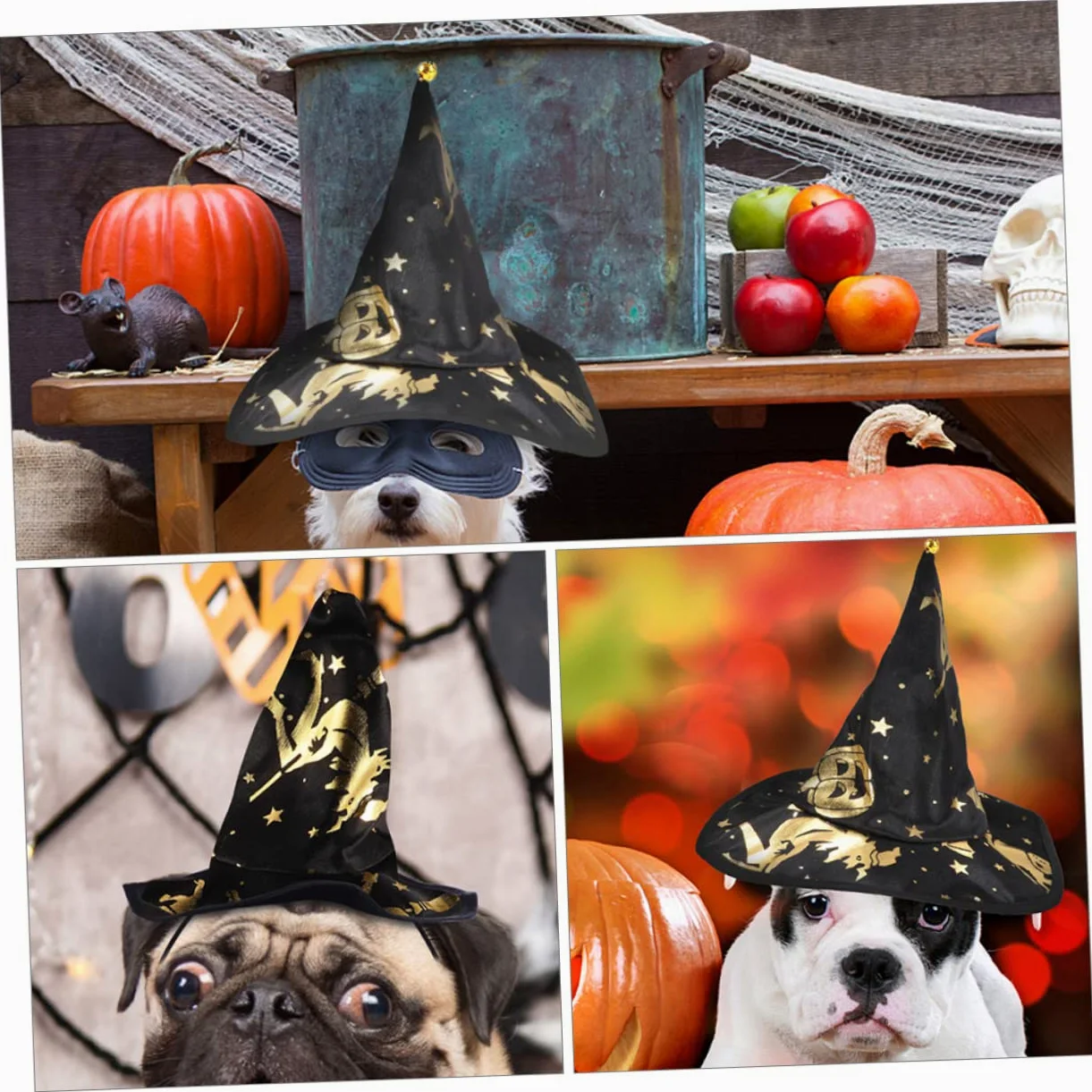 BESPORTBLE 5sets Costume Per Animali Domestici Con Cappello Da Stregone Set Chic Per Halloween Accessori Cosplay Per Cani e Gatti Materiale Leggero e Comodo Facile Da Indossare Per Festività