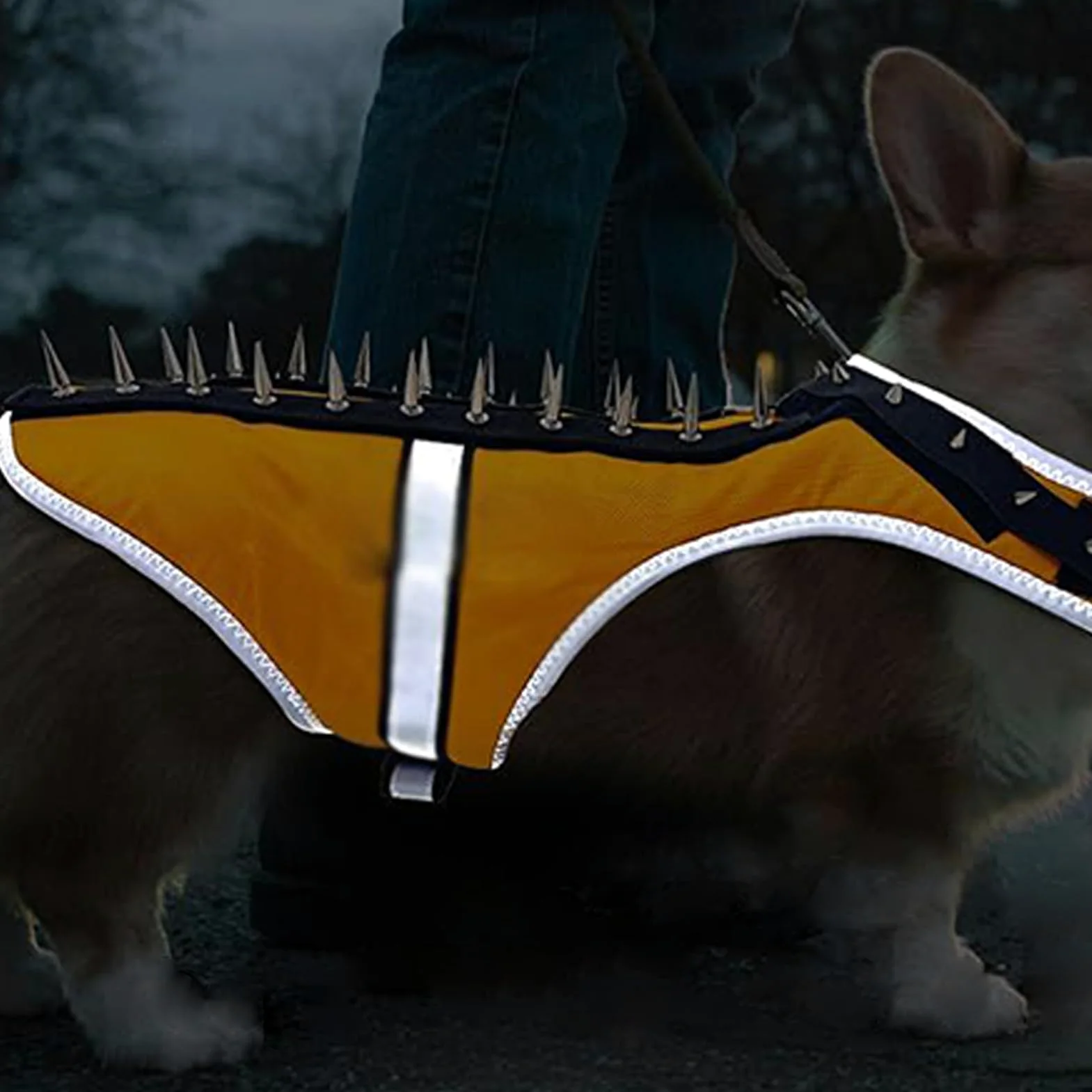 Gilet Anti-Coyote Per Cani Piccoli Pettorina Protettiva Regolabile A Punte | Pettorina Aggressiva Per Cuccioli Protezione Riflettente Anti Attacco Rapaci Per Animali