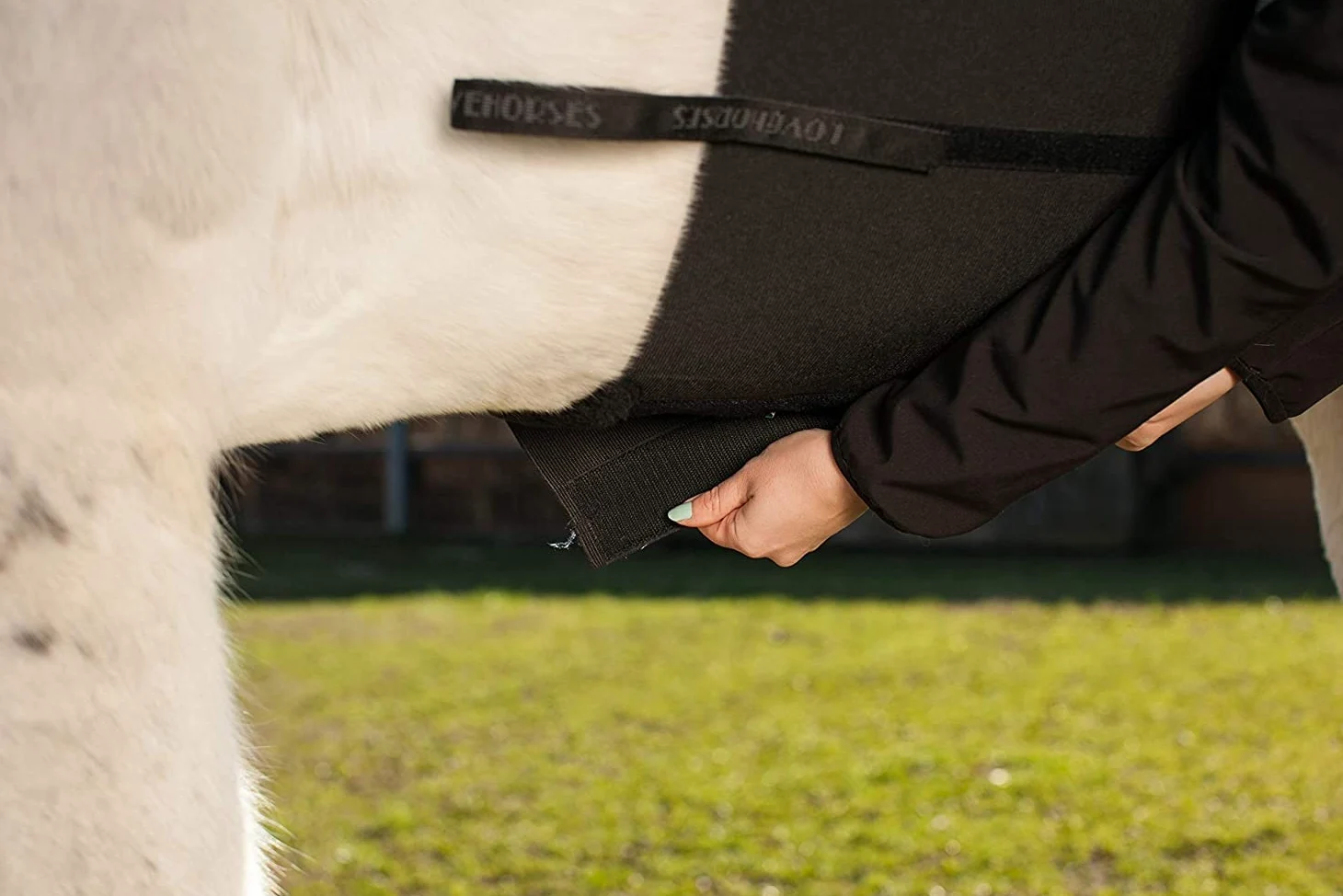 LOVEHORSES Fascia di Rispetto Deluxe - L'Originale - Comfort e Protezione Elastica - Certificato Oeko-Tex - Made in Italy - Full, Testa di Moro