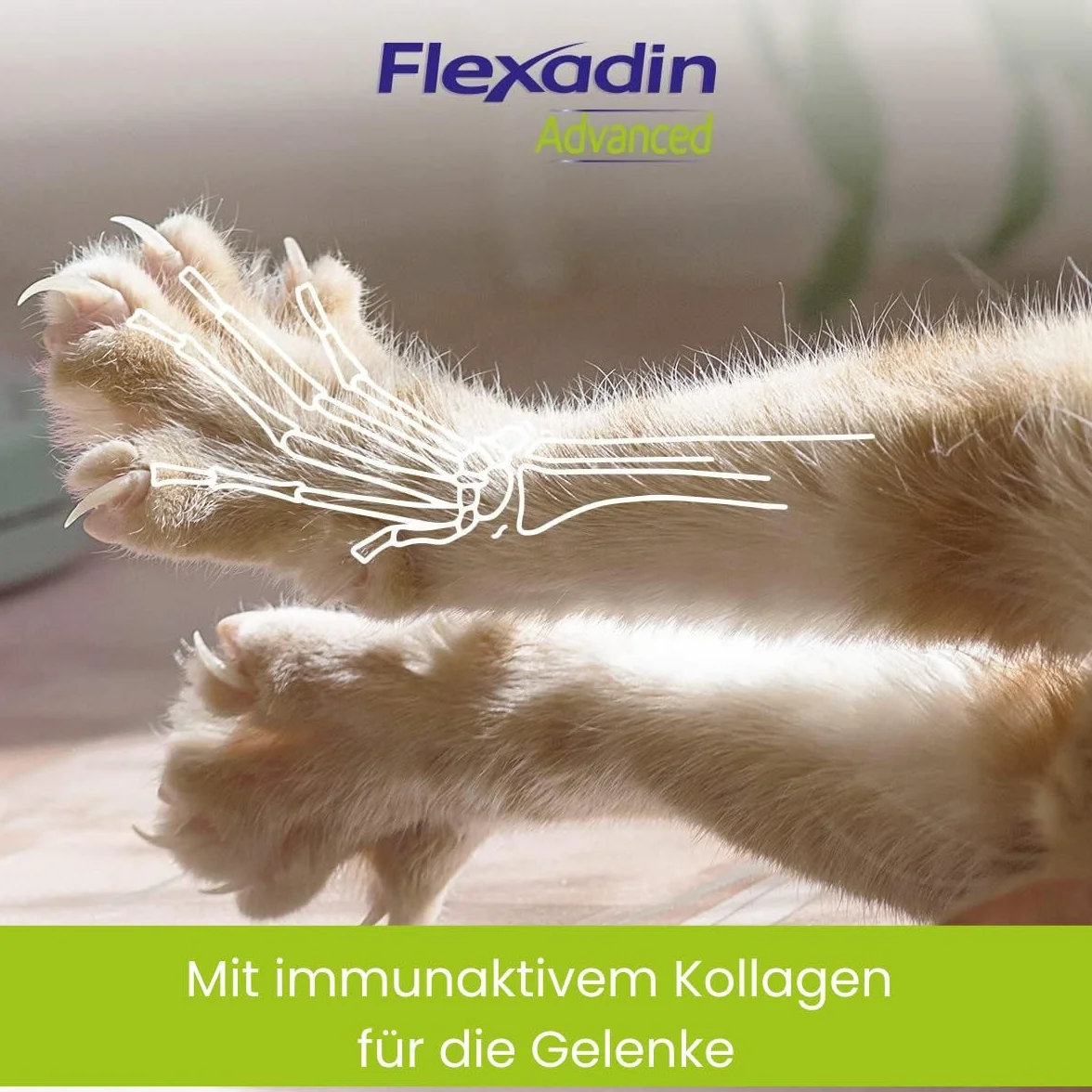 FLEXADIN ADVANCED® Gatto |Approccio innovativo alla salute articolare | Collagene non denaturato Tipo II – 60 Gelenkleckerli