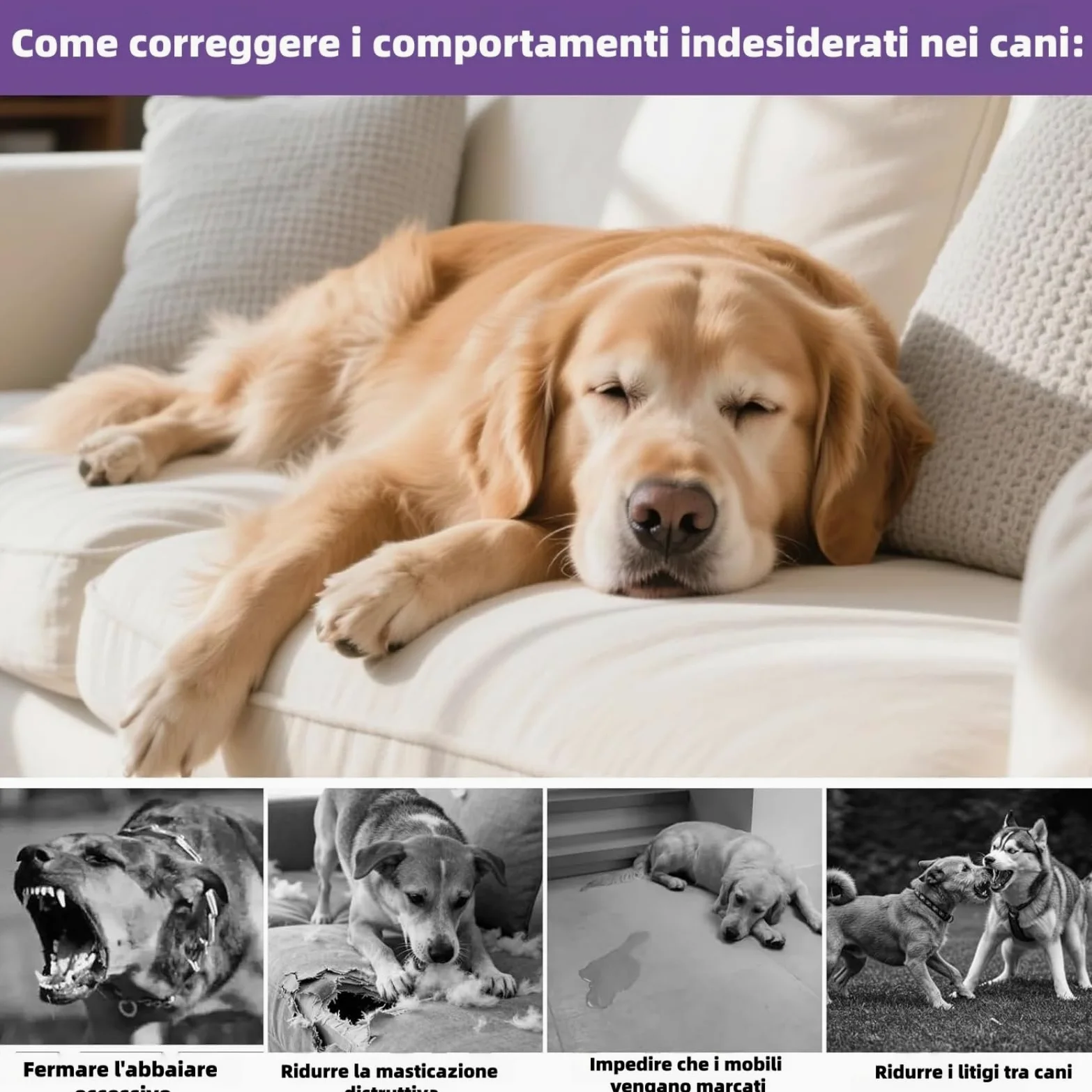 MEIION Ormeo Pet Diffusore,Diffusore Calmante per Cani,Feromoni Antistress,Aiuta i Cani Ansiosi a Rilassarsi,Facile da Usare,Adatto per Situazioni di Stress