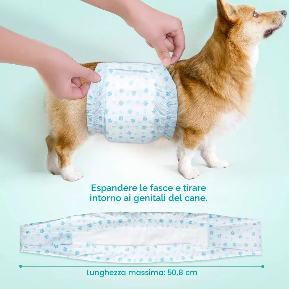 Pannolini usa e getta per cani Involucri maschili - Pannolini morbidi super assorbenti per cani maschi per problemi di marcatura di cani maschi, incontinenza urinaria