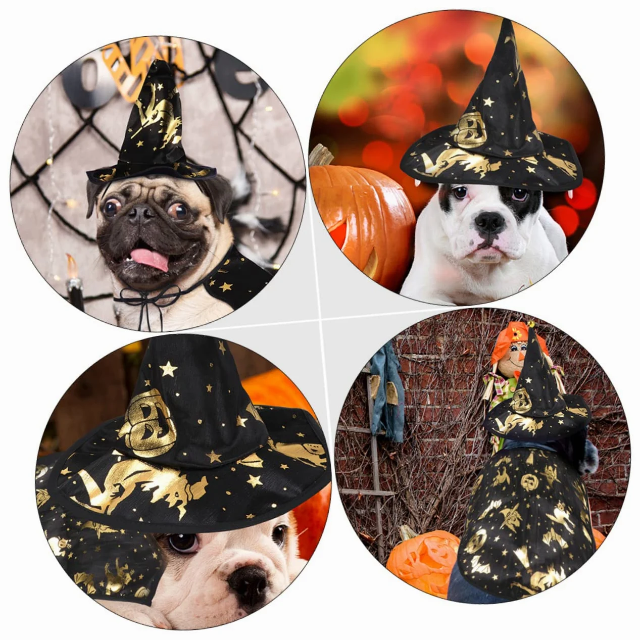 BESPORTBLE 5sets Costume Per Animali Domestici Con Cappello Da Stregone Set Chic Per Halloween Accessori Cosplay Per Cani e Gatti Materiale Leggero e Comodo Facile Da Indossare Per Festività