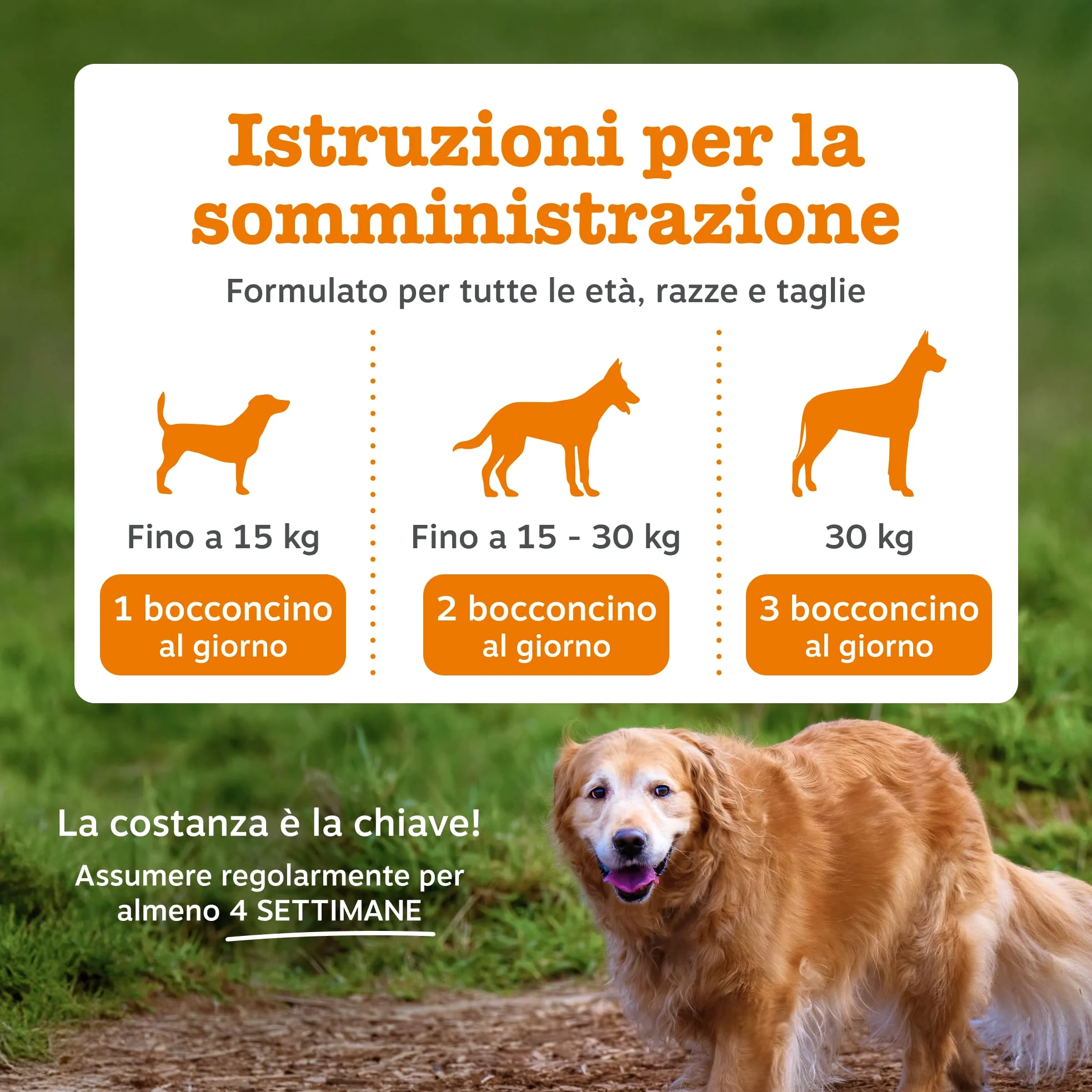 Zesty Paws Hip & Joint per Cani – Supporto Mobilità, Flessibilità Articolare, Articolazioni Rigide e Cartilagine – con Glucosamina, Condroitina e Cozza Verde – 90 Bocconcini