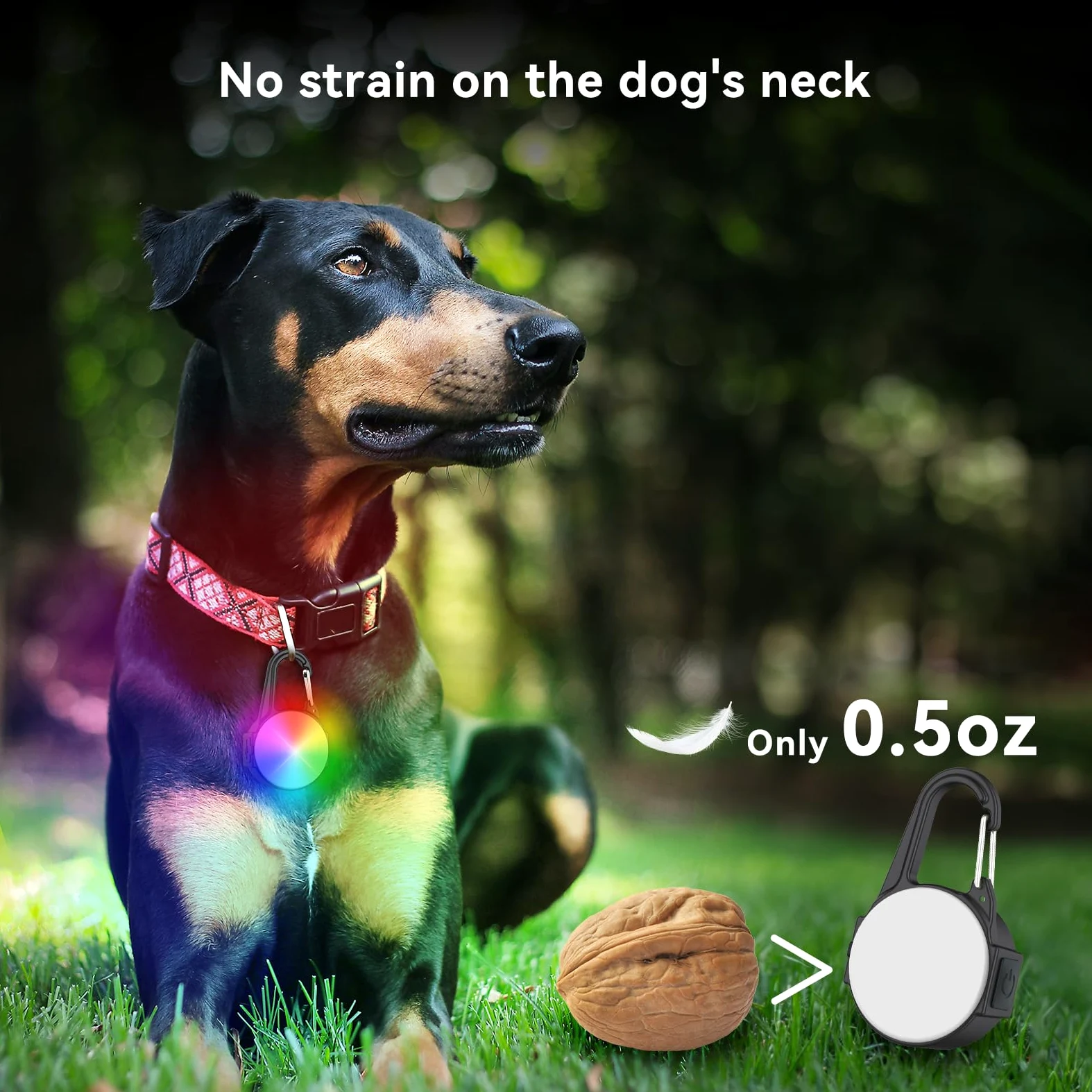 Luci per cani per passeggiate notturne, 4 modalità IP68 impermeabile per collare per cani per la notte, ad alta capacità, ricaricabile con 2 cavi USB C (confezione da 2)