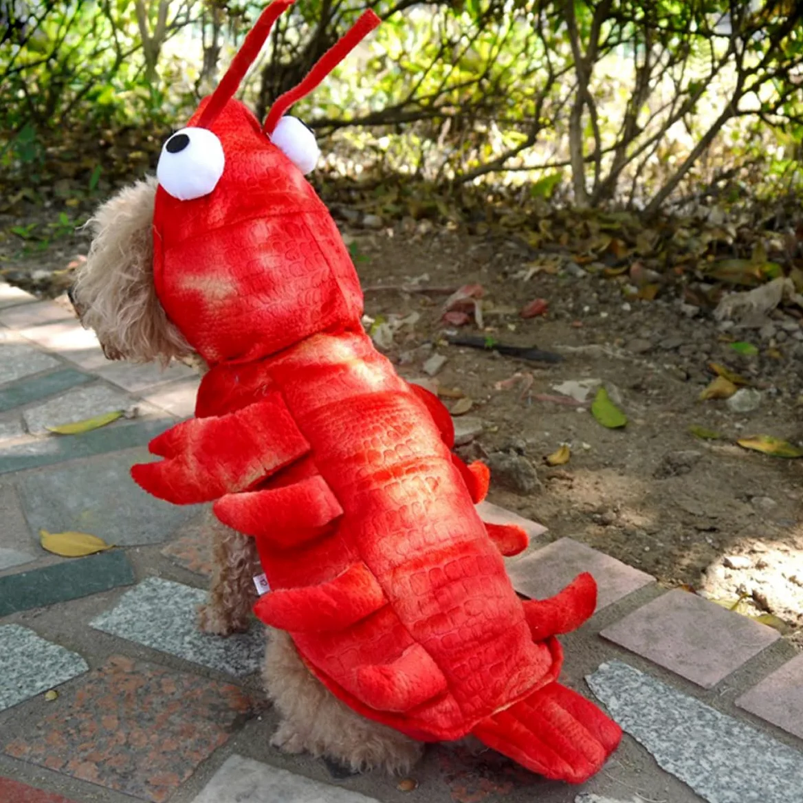 BESPORTBLE 2 Pz riscaldare i vestiti dell'animale domestico divertente costume da cane vestito per cani abbigliamento cane vestitino cane vestito cane vestiti casual per cani vestiti per cani