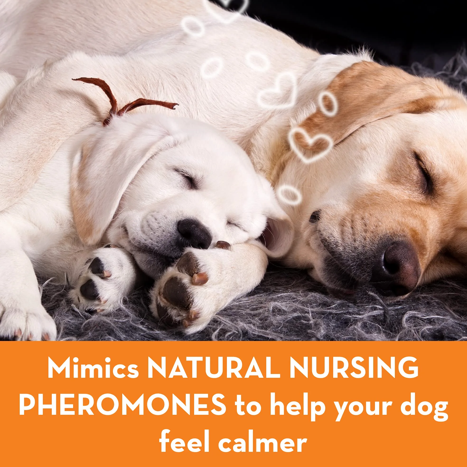 ThunderEase ADAPTIL - Kit diffusore calmante per Cani, Alimentato da ADAPTIL, consigliato dal Veterinario per alleviare l'ansia da separazione, Lo Stress, l'abbaiare e la masticazione e la Paura di