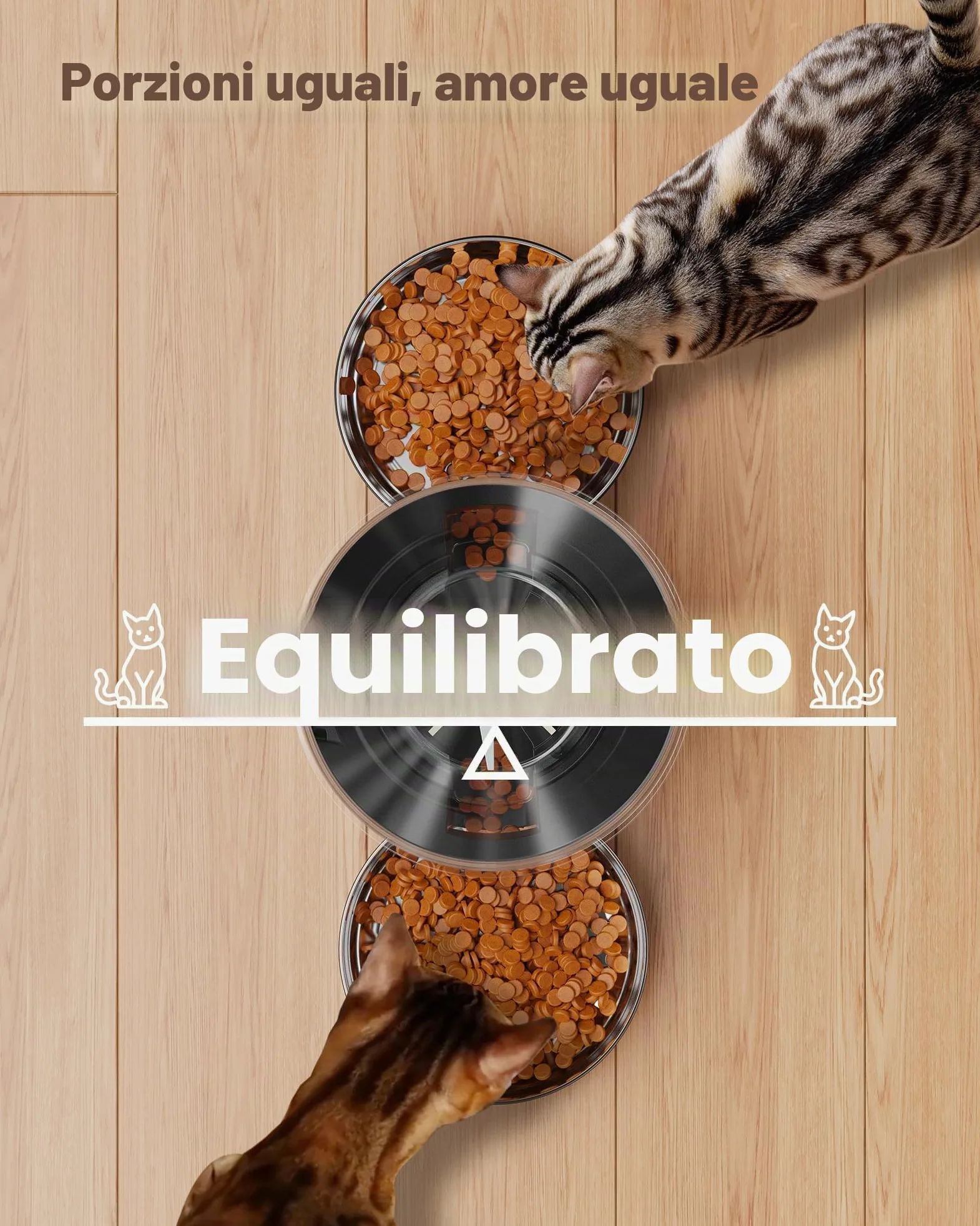 Distributore Automatico Cibo Gatti Doppio: Dispenser Crocchette Gatto Acciai Inossidabili - Erogatore Cibo Cani con Timer Programmabile - 5L Dosatore Crocchette - Mangiatoia Automatica con 2 Ciotola
