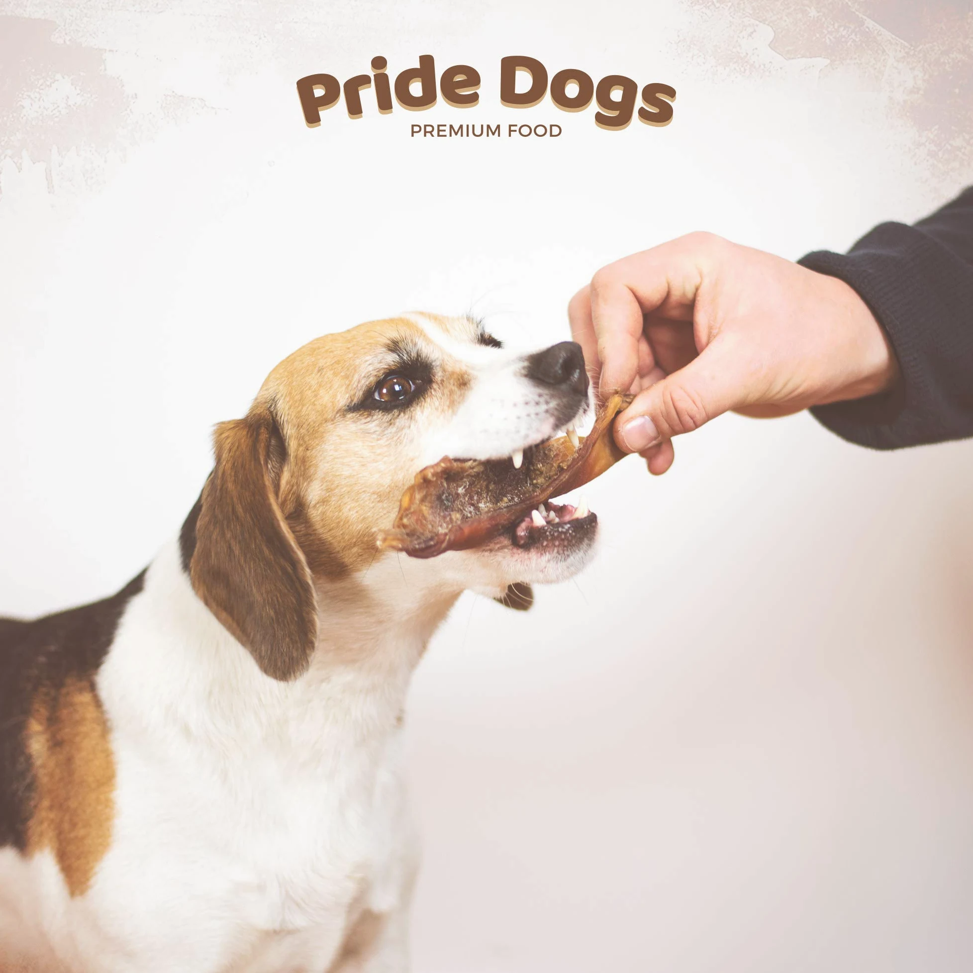 PrideDogs - Cuoio capelluto di bovini piccolo, 8-15 cm, 1 kg, per cani