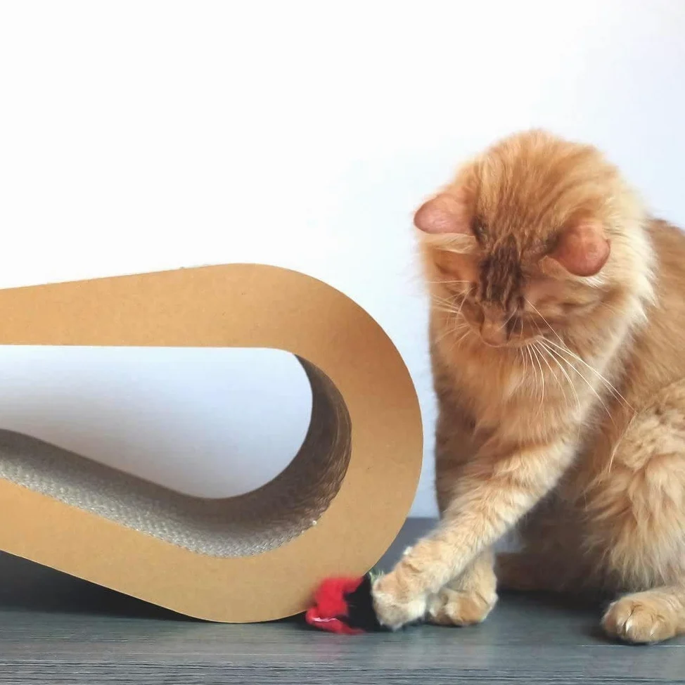 PetValley Tiragraffi per Gatti Kit Cuccia + Grattone Kraft Prodotto di Design in Cartone Ondulato Made in Italy, Ideale Come Cuccia, Palestra e Graffiatoio. 100% Riciclabile