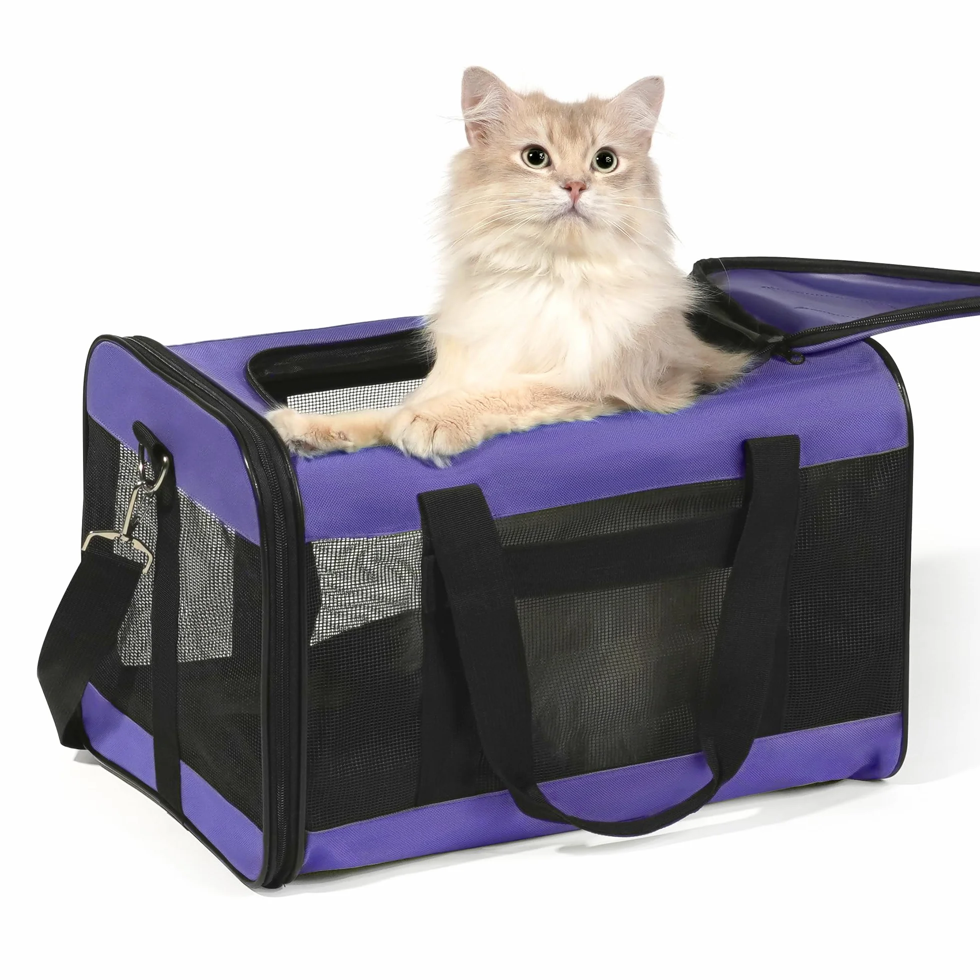HITSLAM Trasportino Gatto, Trasportino Cane/Gatti/Cani, Borsa Morbida e Aereo per Animali Domestici Viaggio,Conforme agli Standard, viola (M)