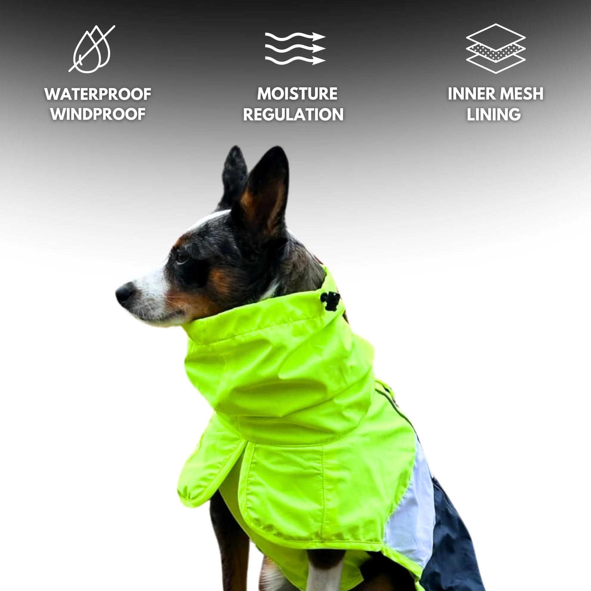 Spark Paws Impermeabile per cani, impermeabile con cappuccio, copertura completa | Rivestimento impermeabile completo con Pancia, riflettente, con fori coperti, per cani leggeri, piccoli, medi e grandi