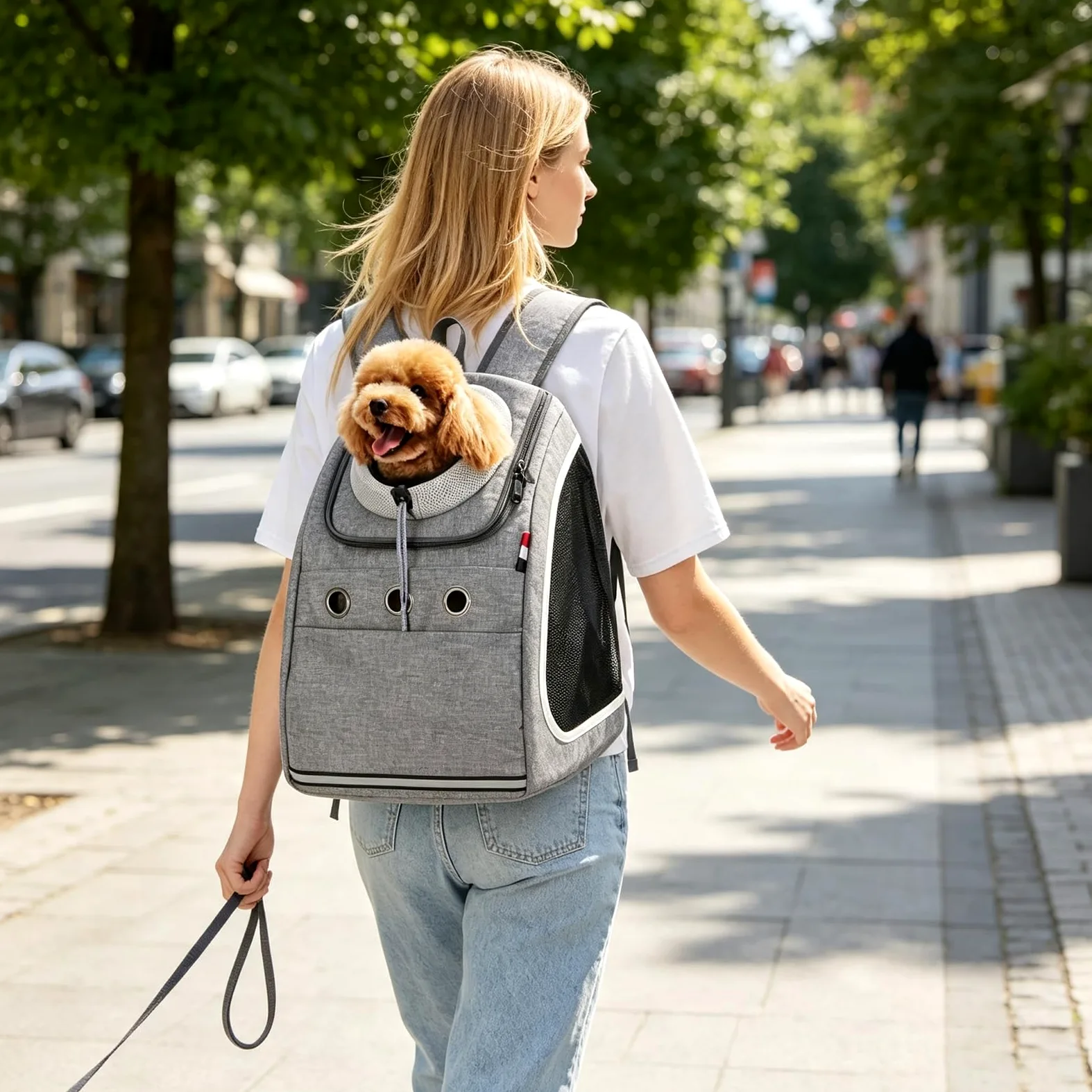 PETCUTE Zaino per cani trasporto per gatti cane piccolo borsa marsupio porta animali per viaggi, campeggio Borsa da trasporto per cani