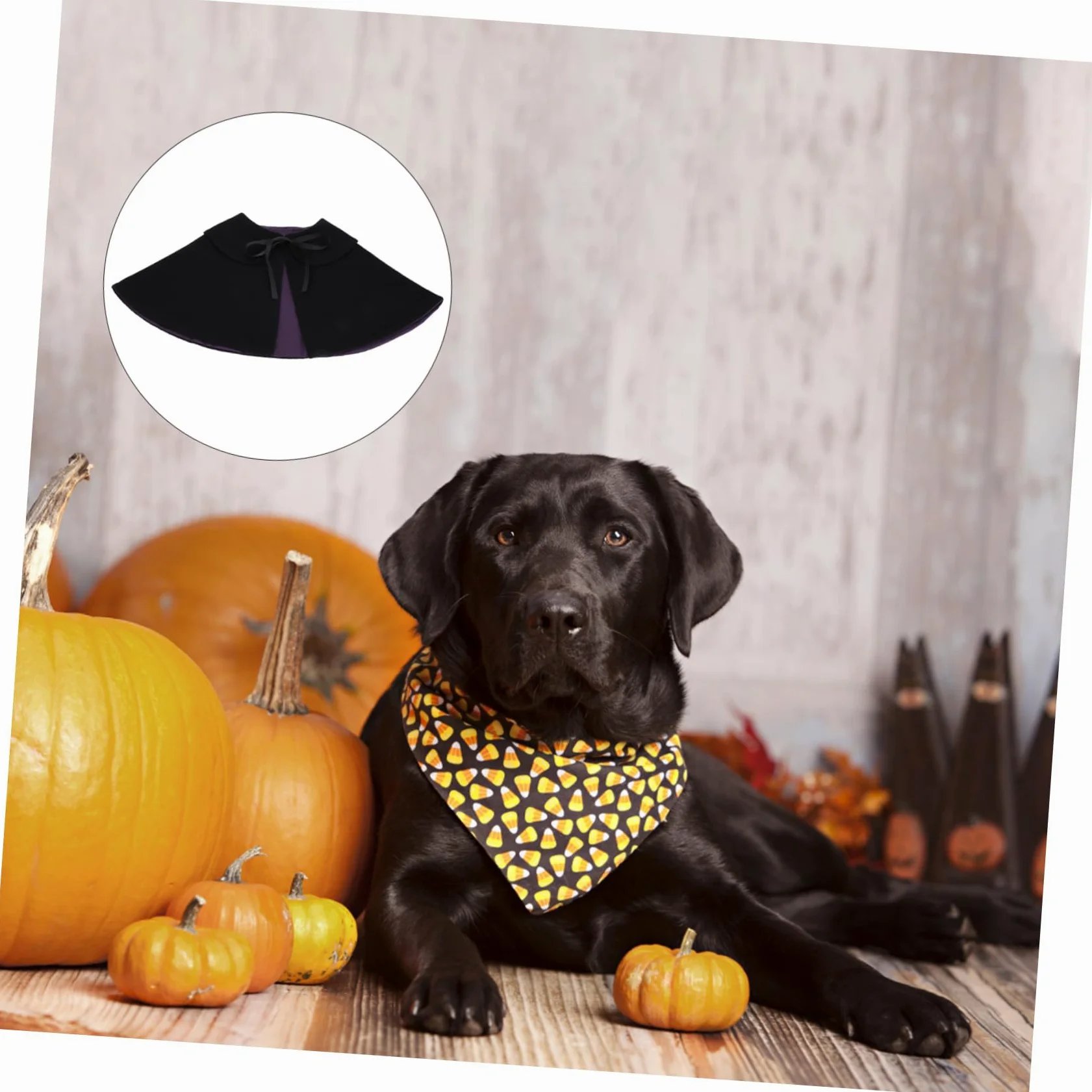 INOOMP 3pezzi Cloak Per Cani e Gatti Neri Per Halloween Leggero e Facile Da Indossare Costume Festivo Per Animali Domestici Decorazione Per Feste e Eventi