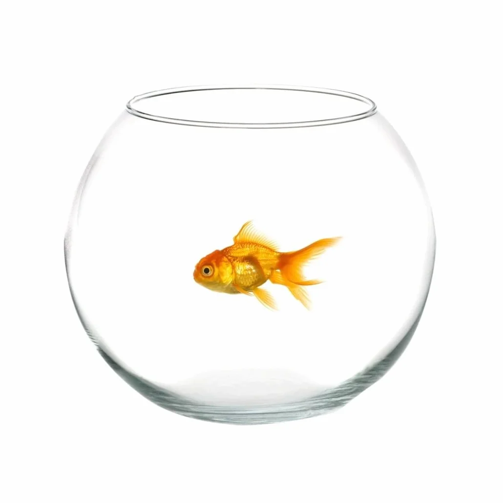 Trade Shop - Ampolla Boccia per Pesci in Vetro 30 Cm Acquario Pesce Rosso Centrotavola