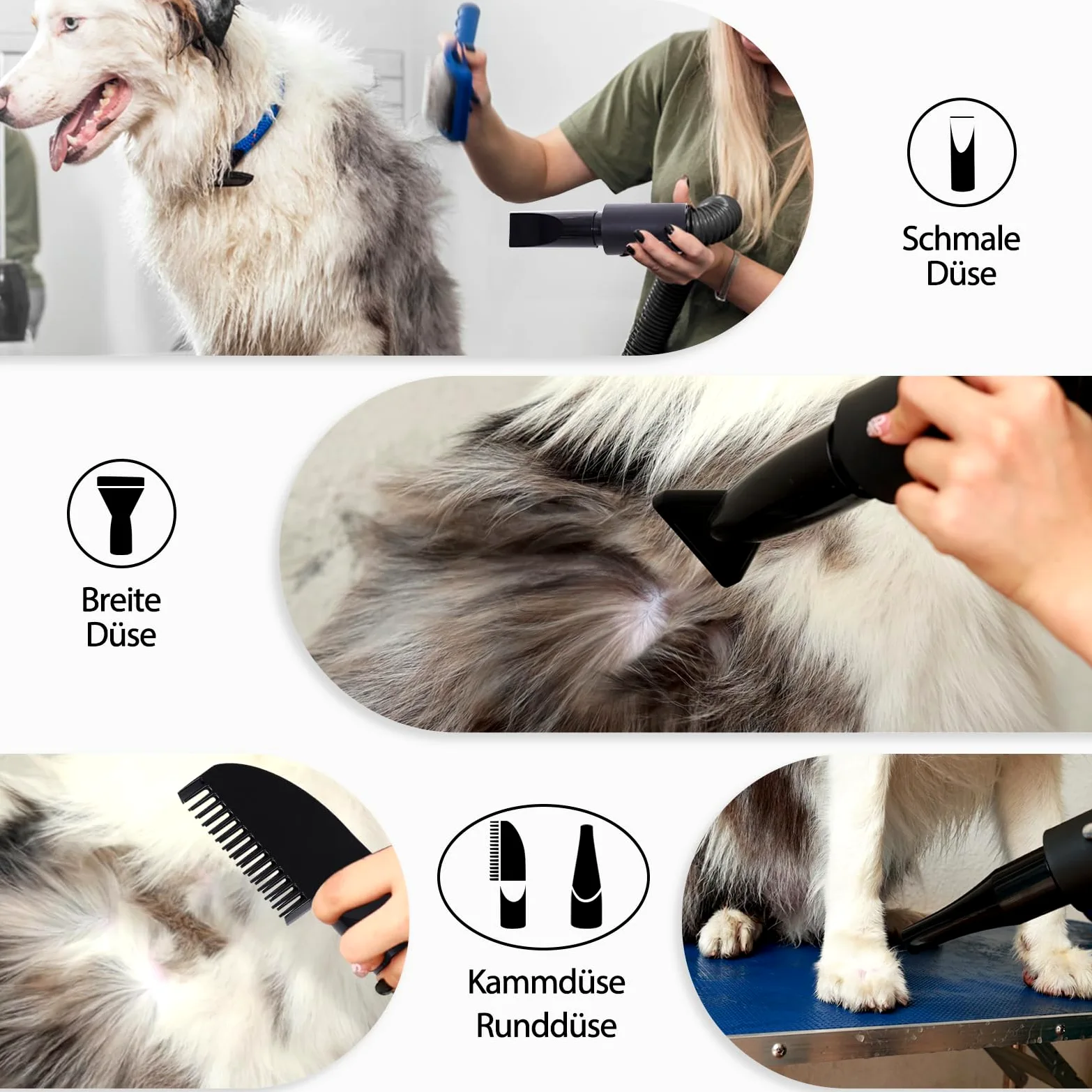 Soffiatore per Cani 3000W Blower Molto Silenzioso velocità Regolabile, Ventilatore per la Cura del Cane con 4 Diversi ugelli e Tubo Elastico