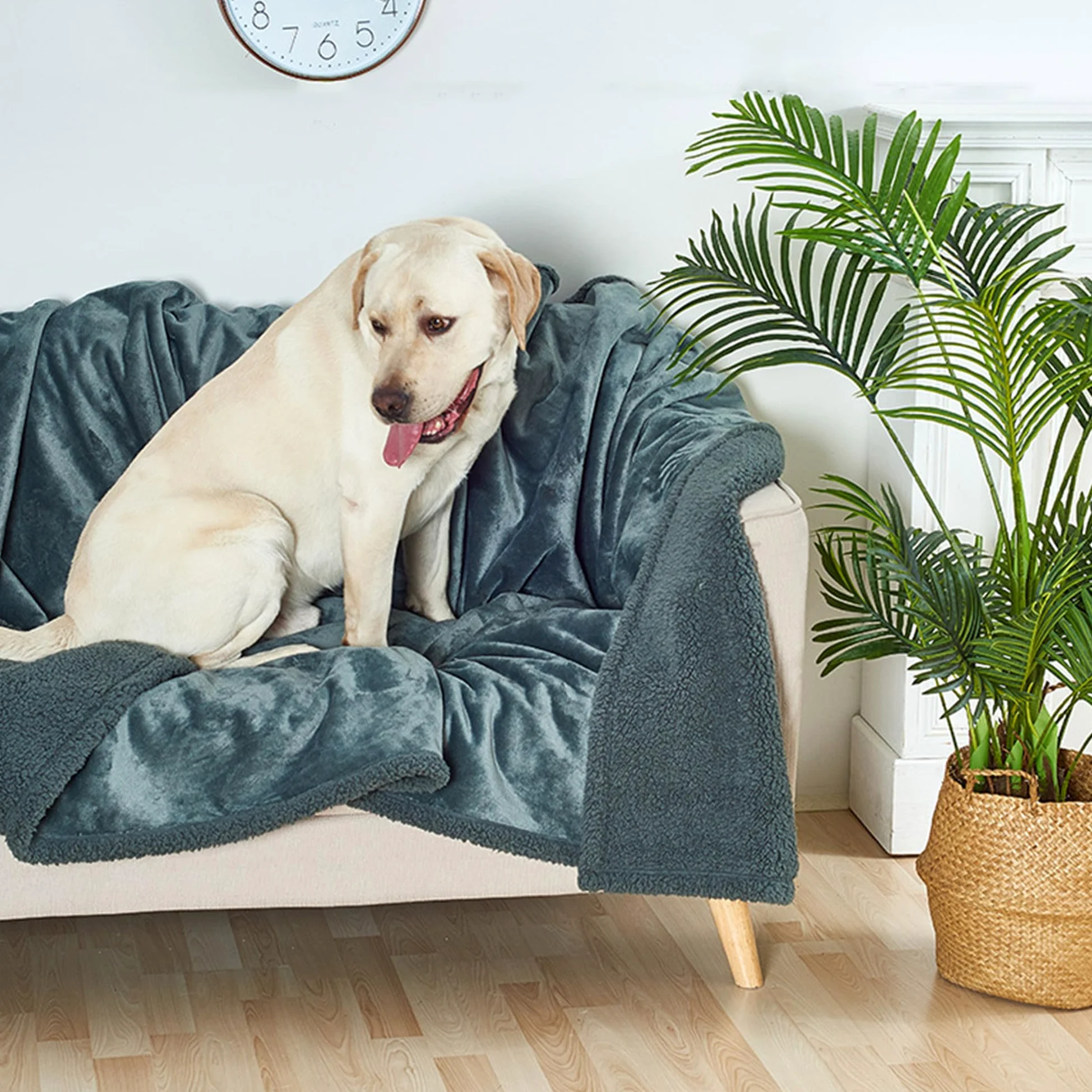 Coperta lavabile per cani, soffice, coperta per cuccioli di gatto, coperta per animali domestici, protezione per divano e letto, copertura per mobili, coperta multifunzionale per cani di