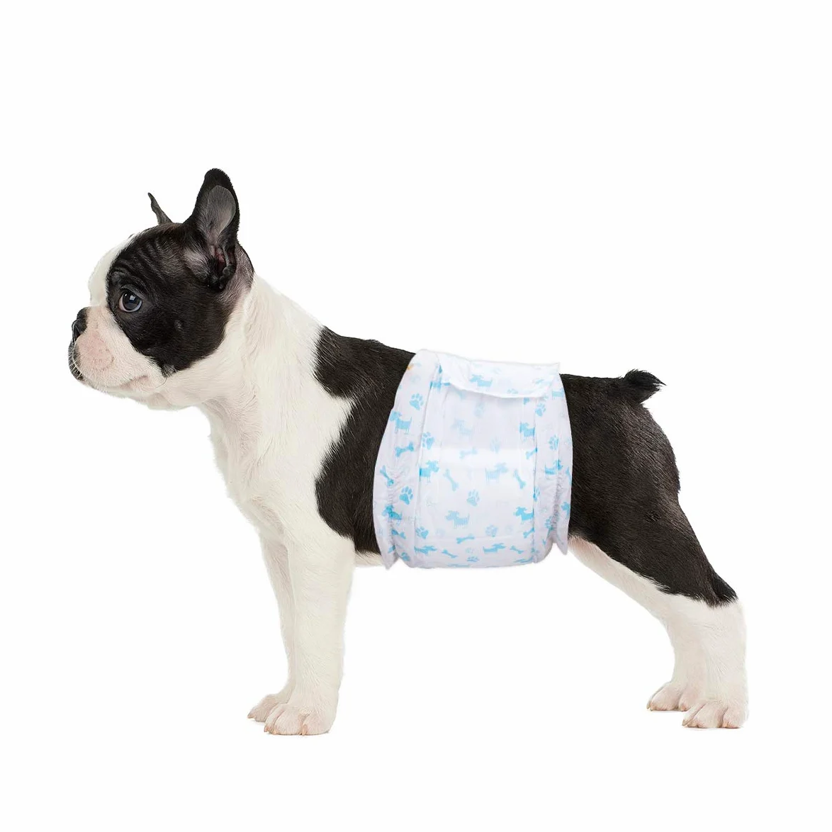 Pannolini usa e getta per cani Involucri maschili - Pannolini morbidi super assorbenti per cani maschi per problemi di marcatura di cani maschi, incontinenza urinaria