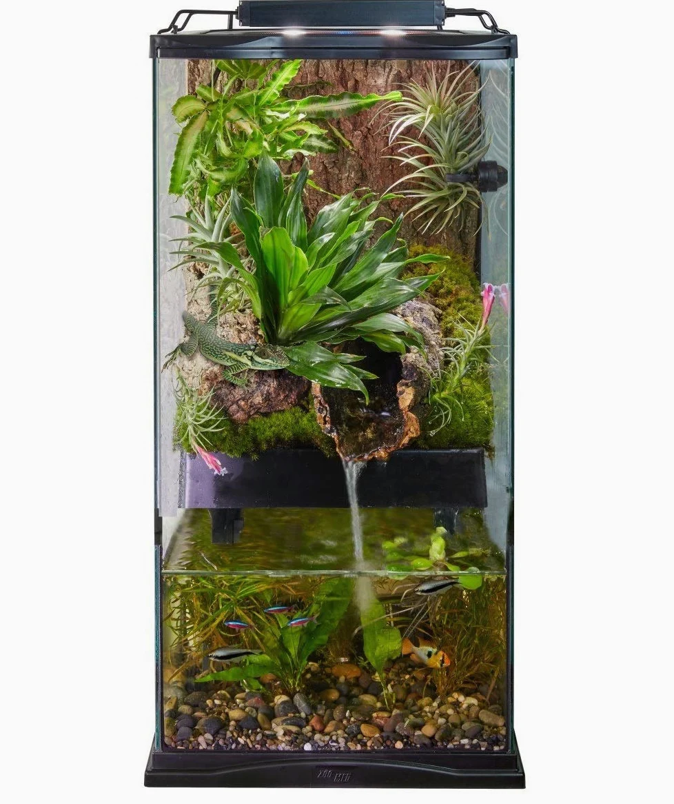 Zoo Med Paludarium - Paludario in vetro e metallo per la creazione di ambienti naturali per animali esotici, anfibi, rettili, dimensione 30x30x60 cm