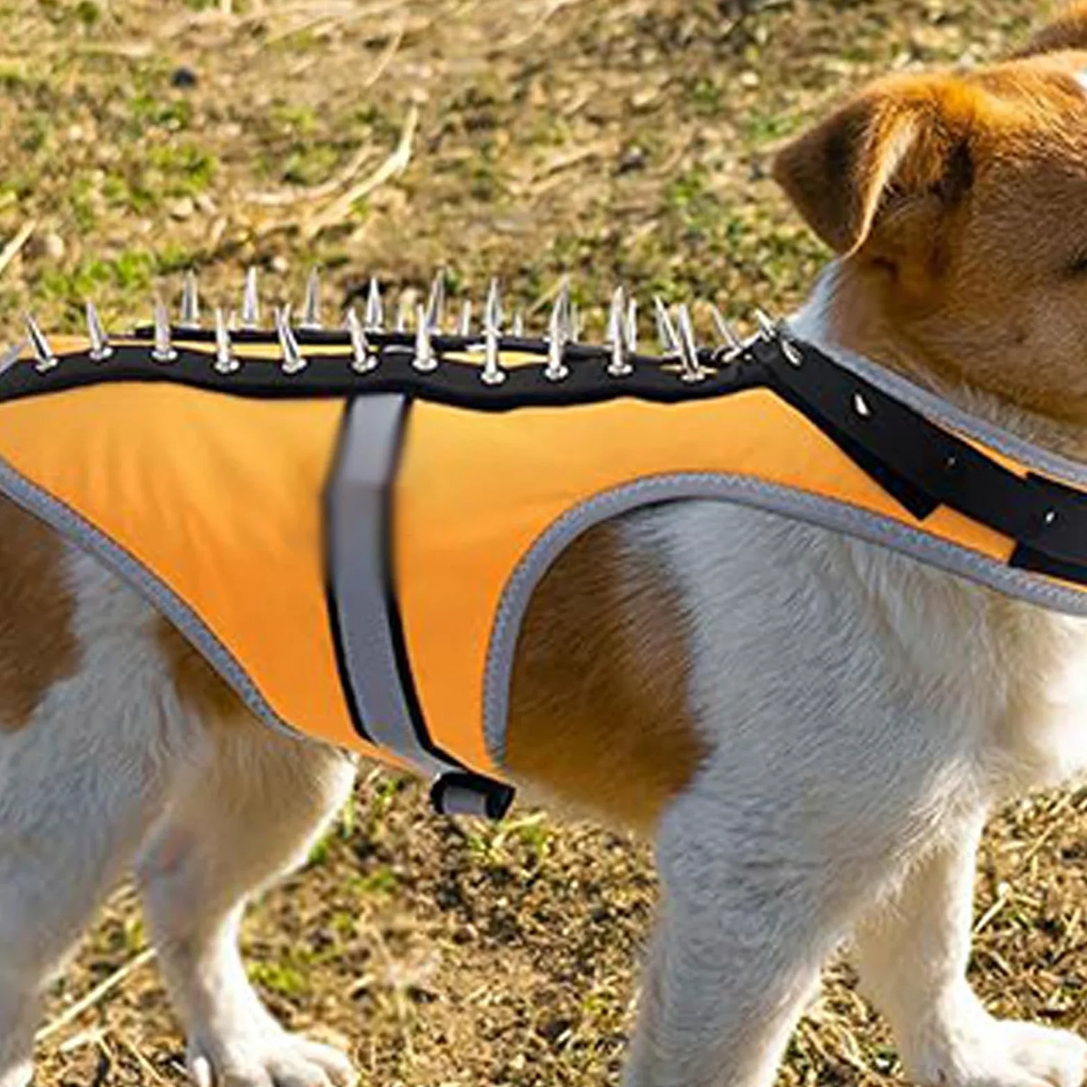Gilet Anti-Coyote Per Cani Piccoli Pettorina Protettiva Regolabile A Punte | Pettorina Aggressiva Per Cuccioli Protezione Riflettente Anti Attacco Rapaci Per Animali
