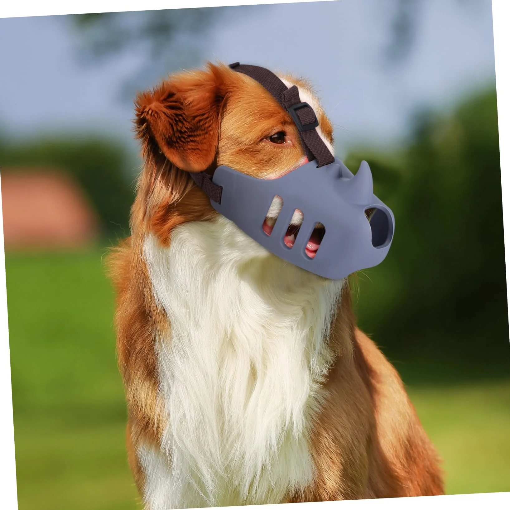 BESPORTBLE Museruola per Cani in Silicone Morbido 3 Pezzi, Regolabile e Confortevole, Adatta per Cani Medi e Grandi, per Prevenire Morsi e Grooming