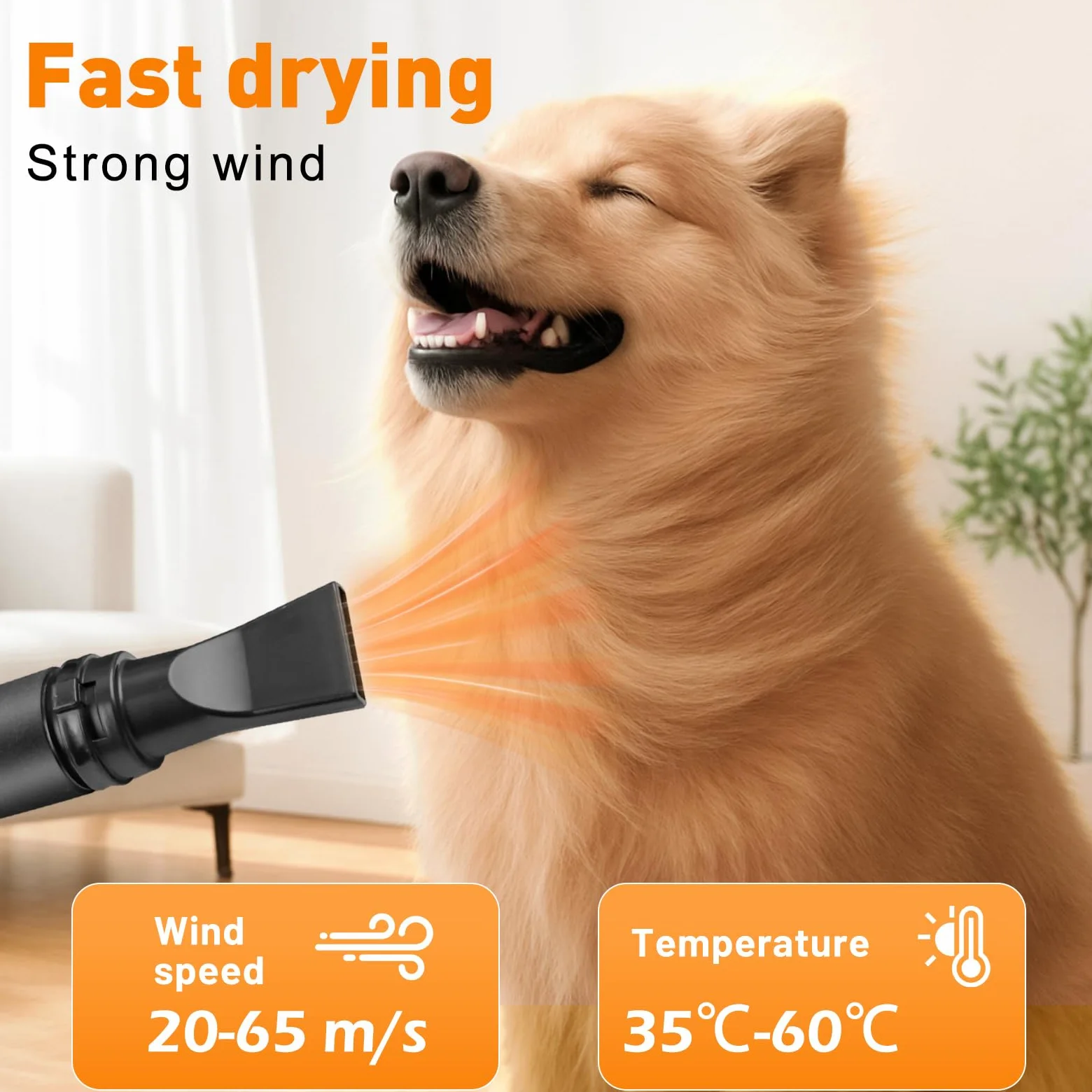 YAZEKY Soffiatore Professionale per Cani, soffiatore Silenzioso da 2800 W, soffiatore per Cani a Pelo Lungo, asciugacapelli per toelettatura Animali, velocità e Temperatura Regolabili con 4 ugelli