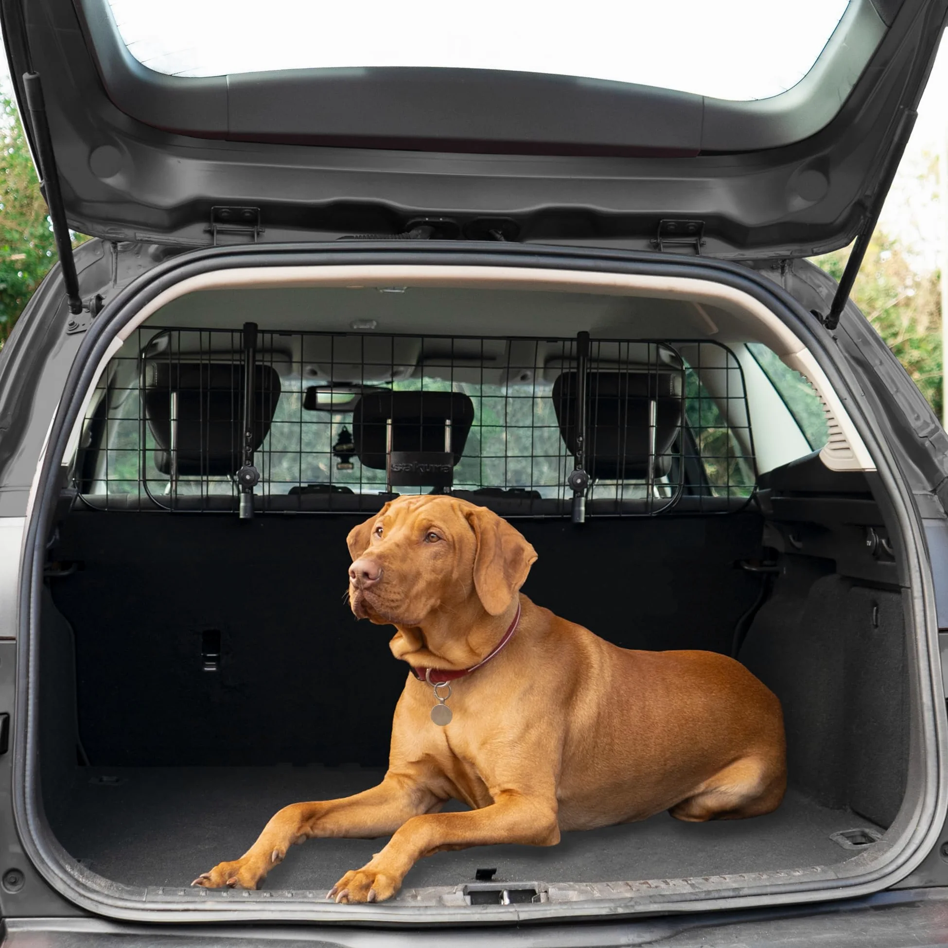 Griglia Cani Per BMW 7 Series 2009-2019, Divisorio Auto Metallo Robusto. | Divisorio Auto per Cani Poggiatesta, Griglia Divisoria Regolabile, Barriera Metallo senza Forare, Protezione Bagagliaio