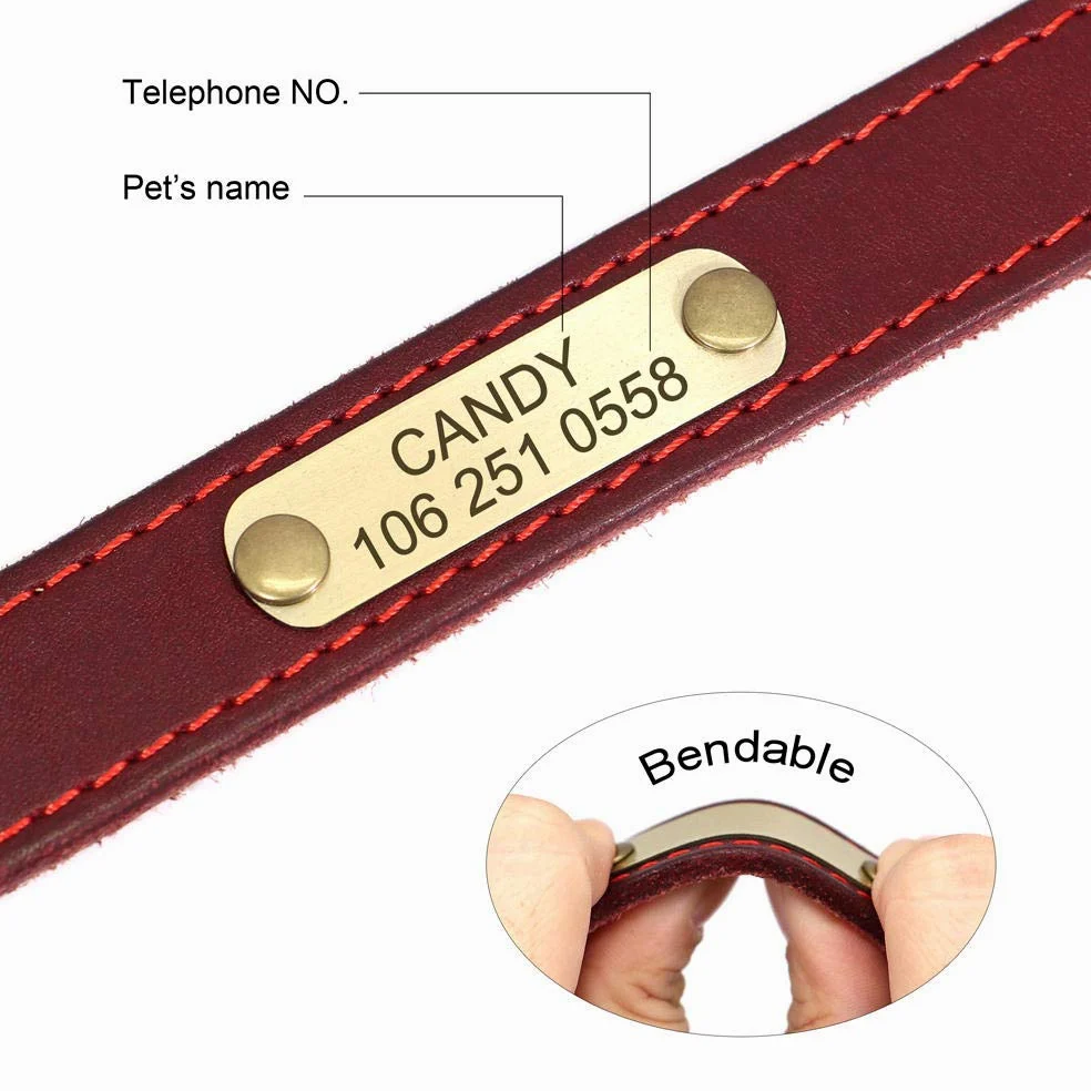 LYVQZPWLRIl Cane Porta, Guinzagli for Animali Domestici, Collare in Pelle Personalizzato for Cani, Fibbia in Pelle Dorata, Collare identificativo for Animali Domestici(Red,XS)