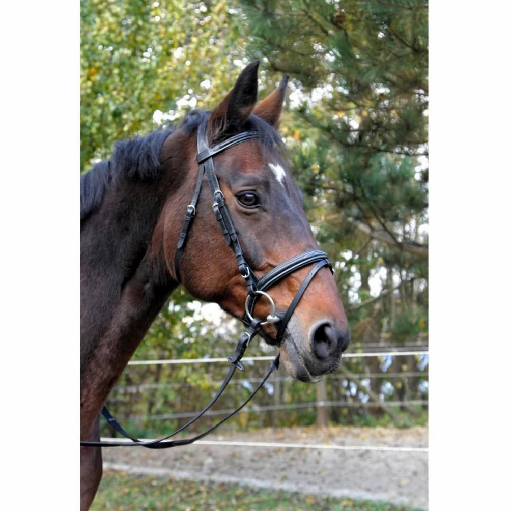 Covalliero Kerbl 326137 Trensenzaum Classic
