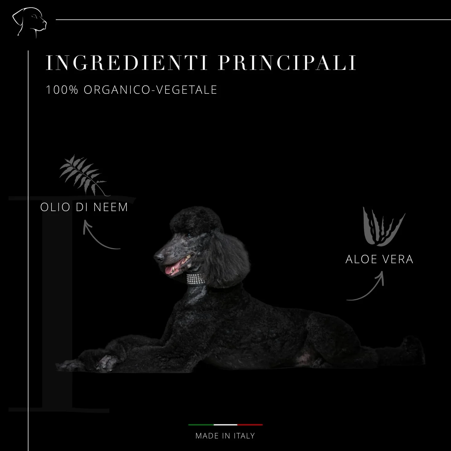 Dog's Health – shampoo per cani 500ml - shampoo Districare pelo cane - Sciogli Nodi pelo cane. shampoo per cani pelo lungo e pelo corto, Con olio di Argan, di Neem e Aloe Vera. senza OGM