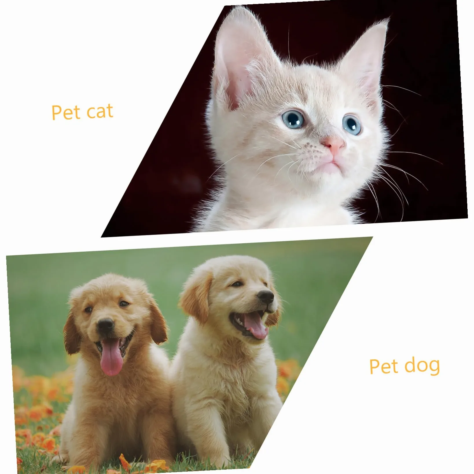 SUPVOX 3 Set Mantello Per Animali Domestici Abbigliamento Per Cani Di Halloween Costume Da Cucciolo Di Zucca Criniera Di Cane Costume Cosplay Per Animali Domestici Prop Peluche