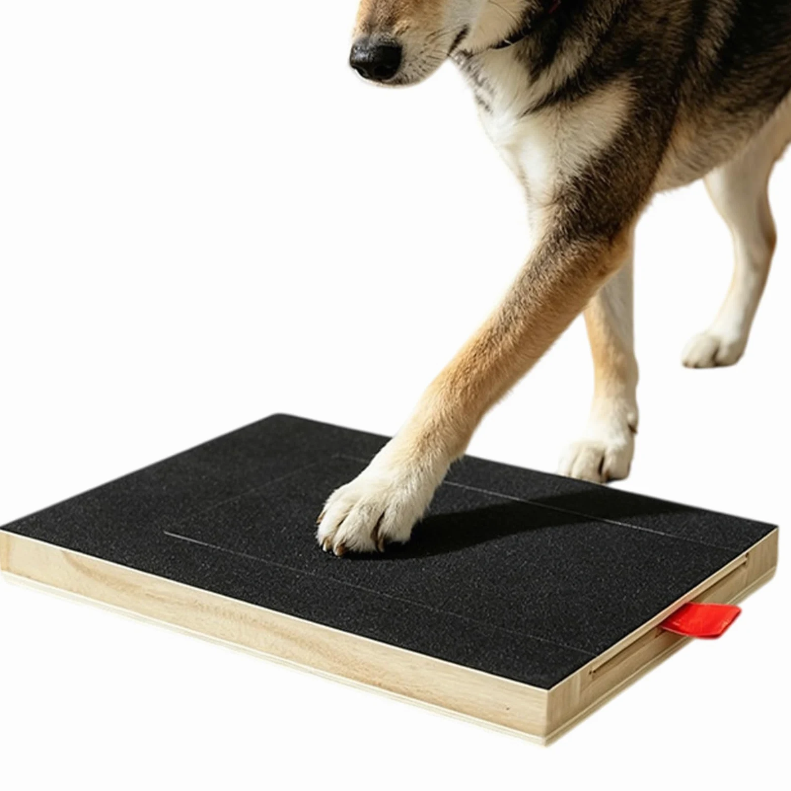 Taglio artigli cane toelettatura cura rapida compatta Piastra per zampe | Taglio artigli cane toelettatura cura artigli stabile aiuto al gesto quotidiano