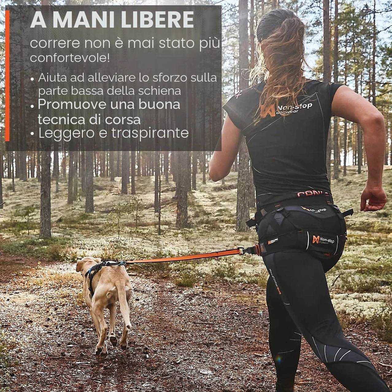 Non-stop dogwear Tenda CANIX, 123X, massima sicurezza, peso minimo, taglia: M